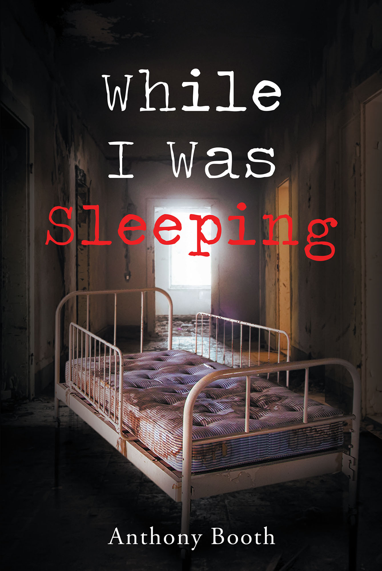 While I Was Sleeping Cover Image