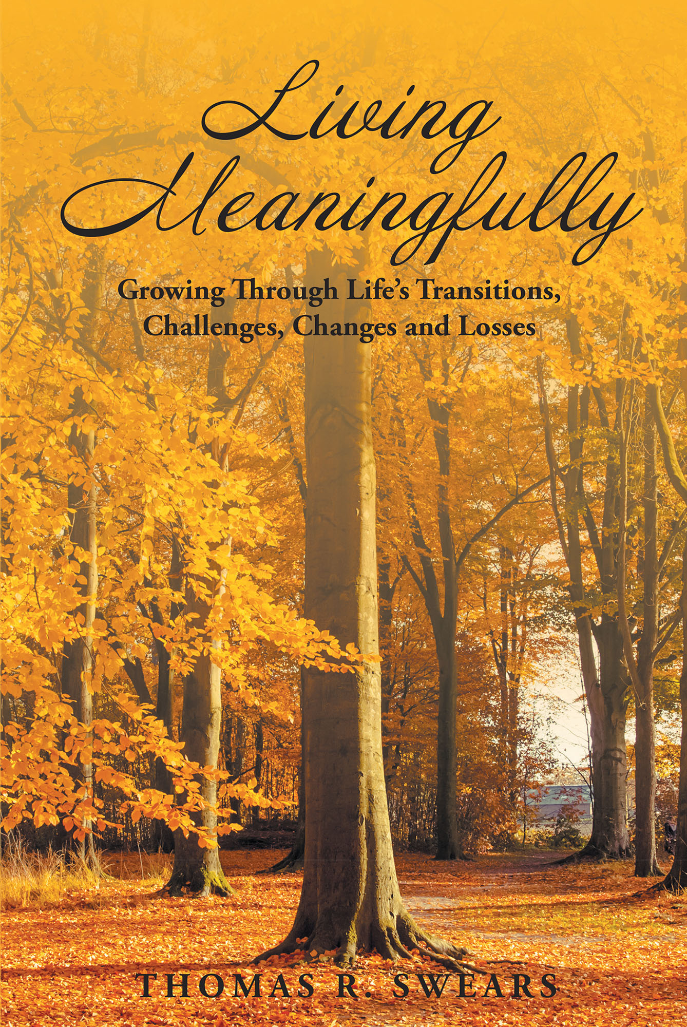 Living Meaningfully Cover Image
