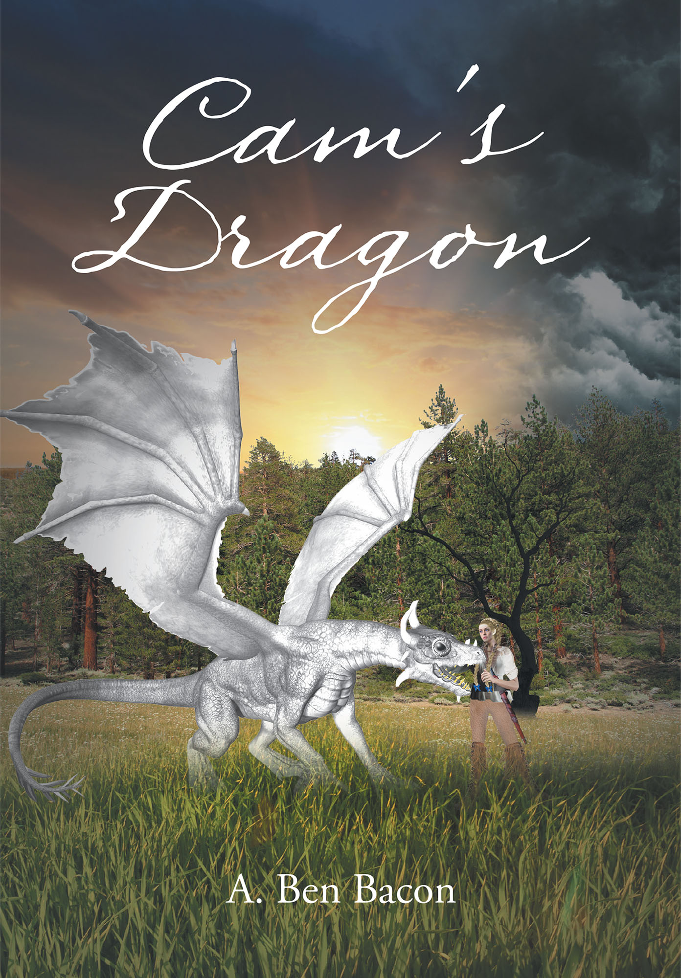 Cam's Dragon Cover Image