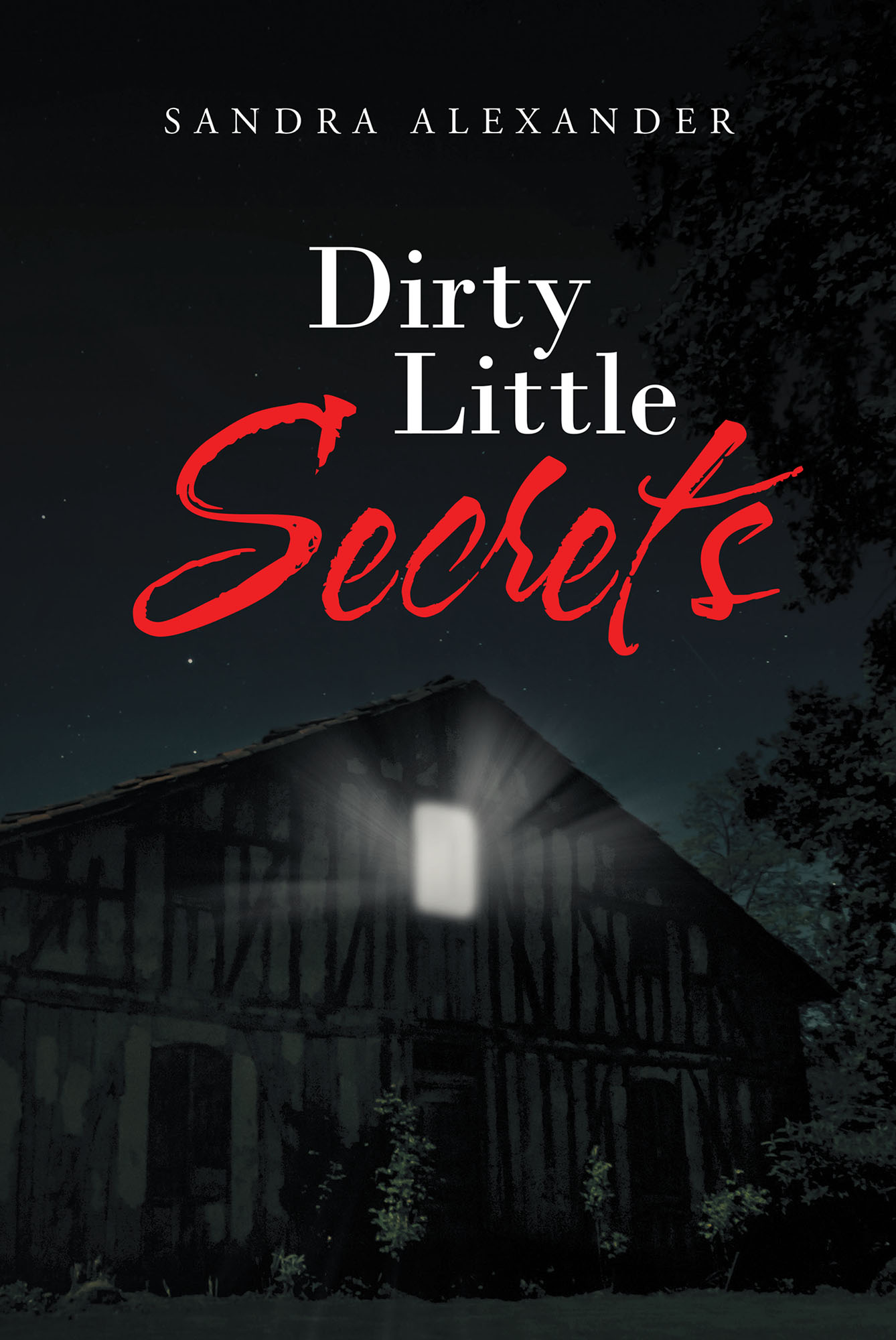Dirty Little Secrets Cover Image