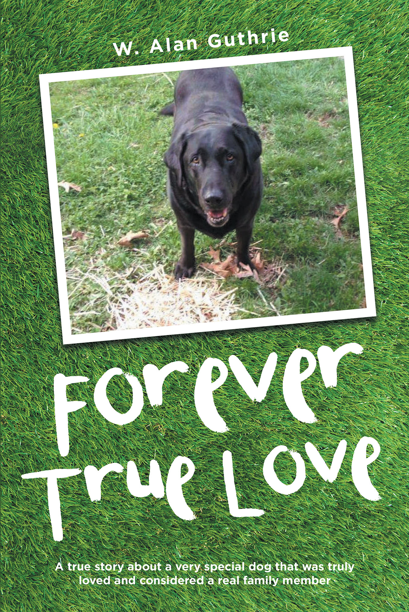 Forever True Love Cover Image