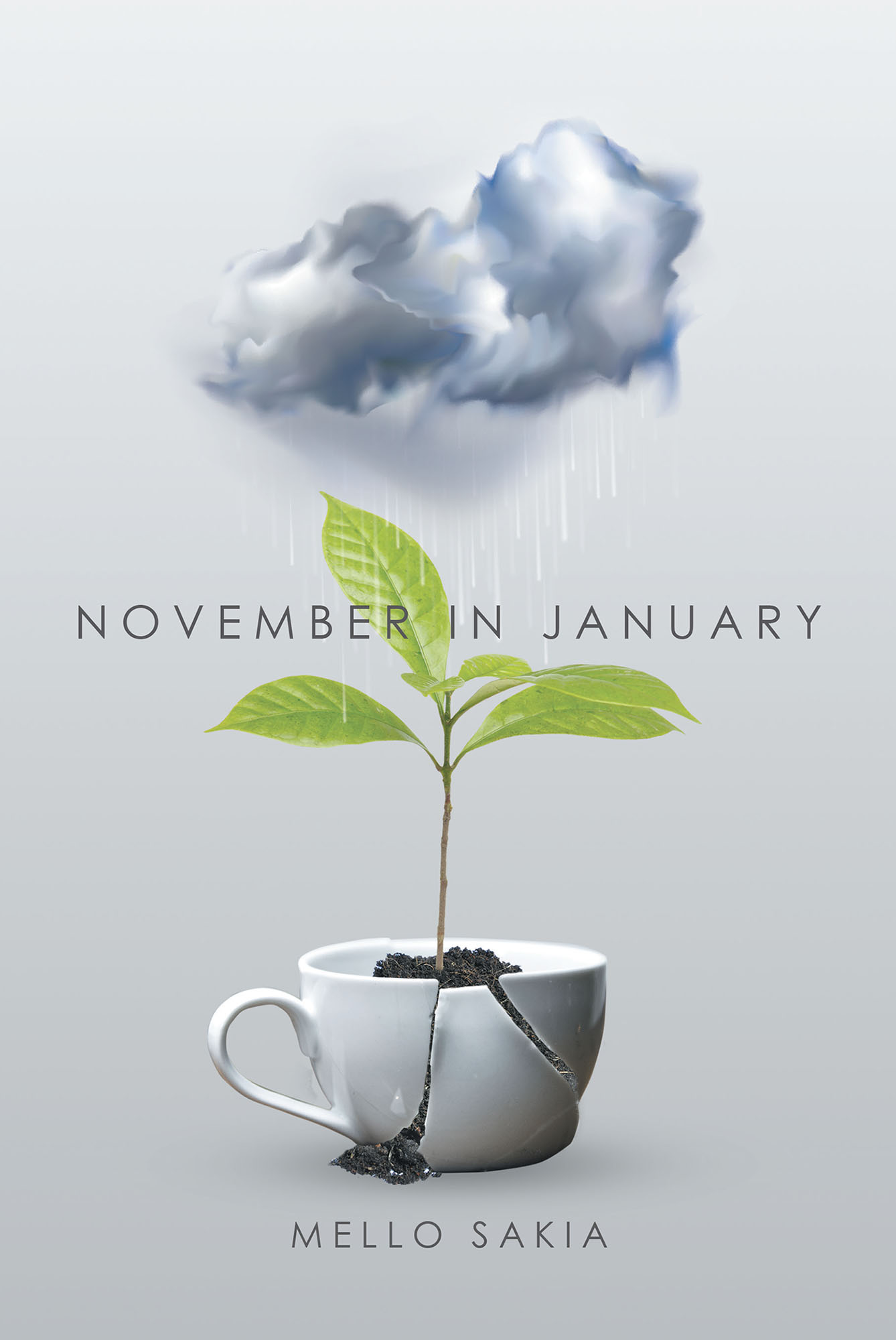 November in January  Cover Image