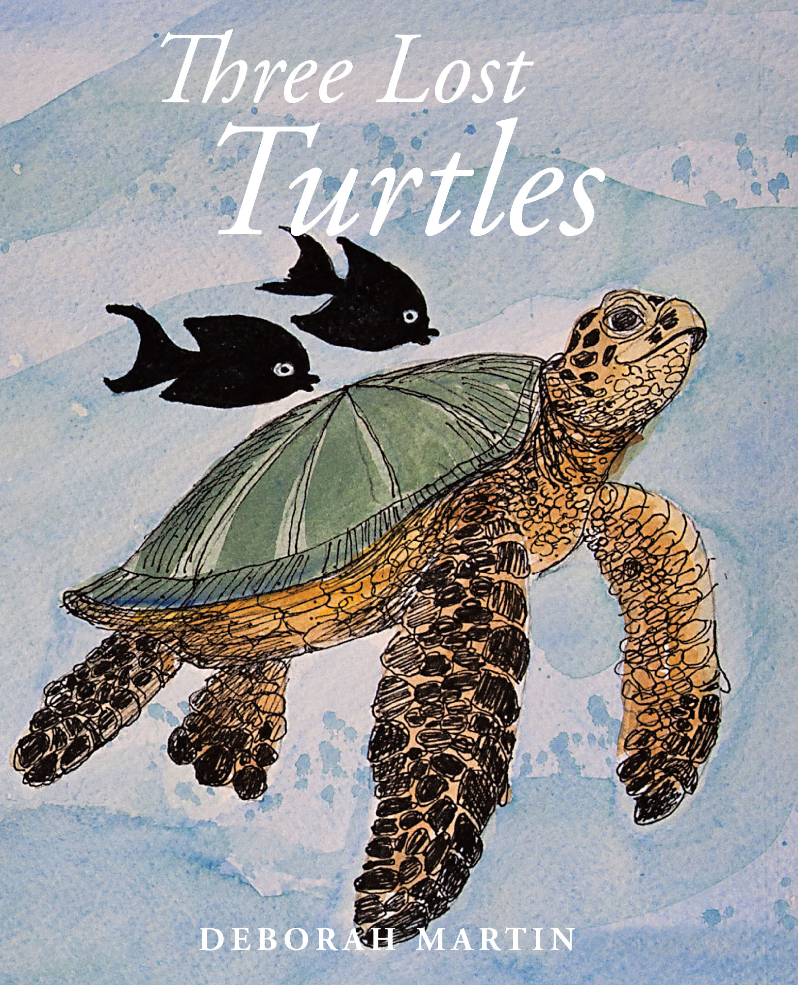 Three Lost Turtles Cover Image