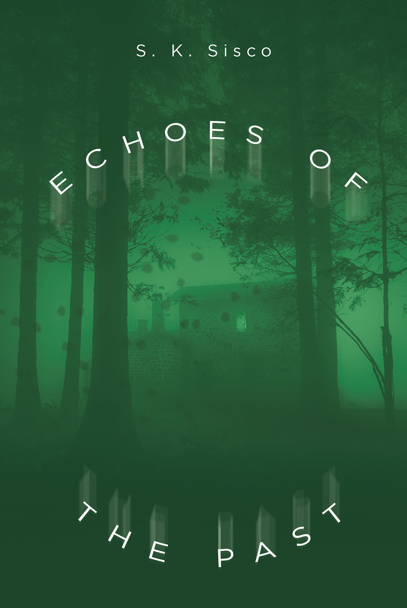 Echoes of the Past Cover Image