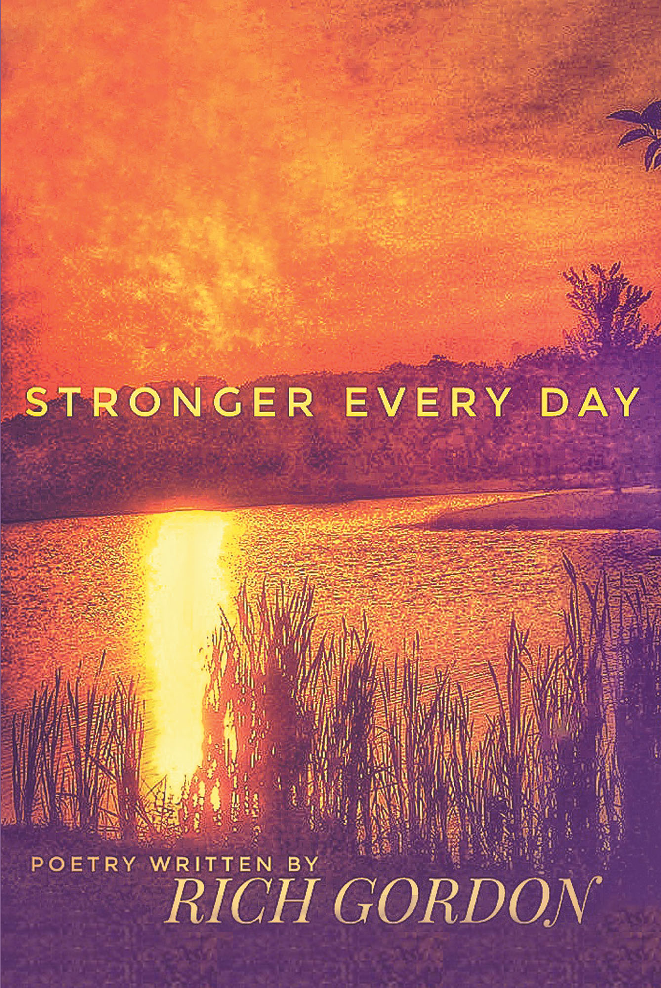 Stronger Every Day Cover Image