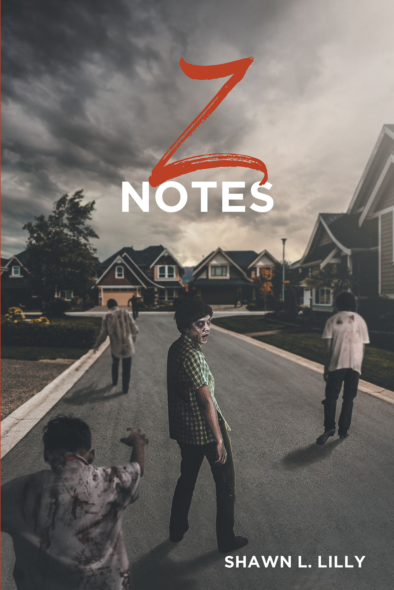 Z Notes Cover Image