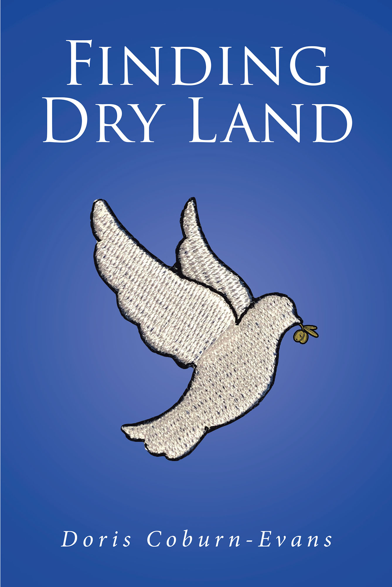 Finding Dry Land Cover Image