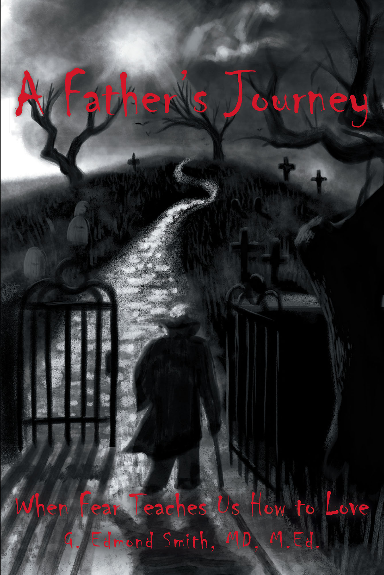 A Father's Journey  Cover Image