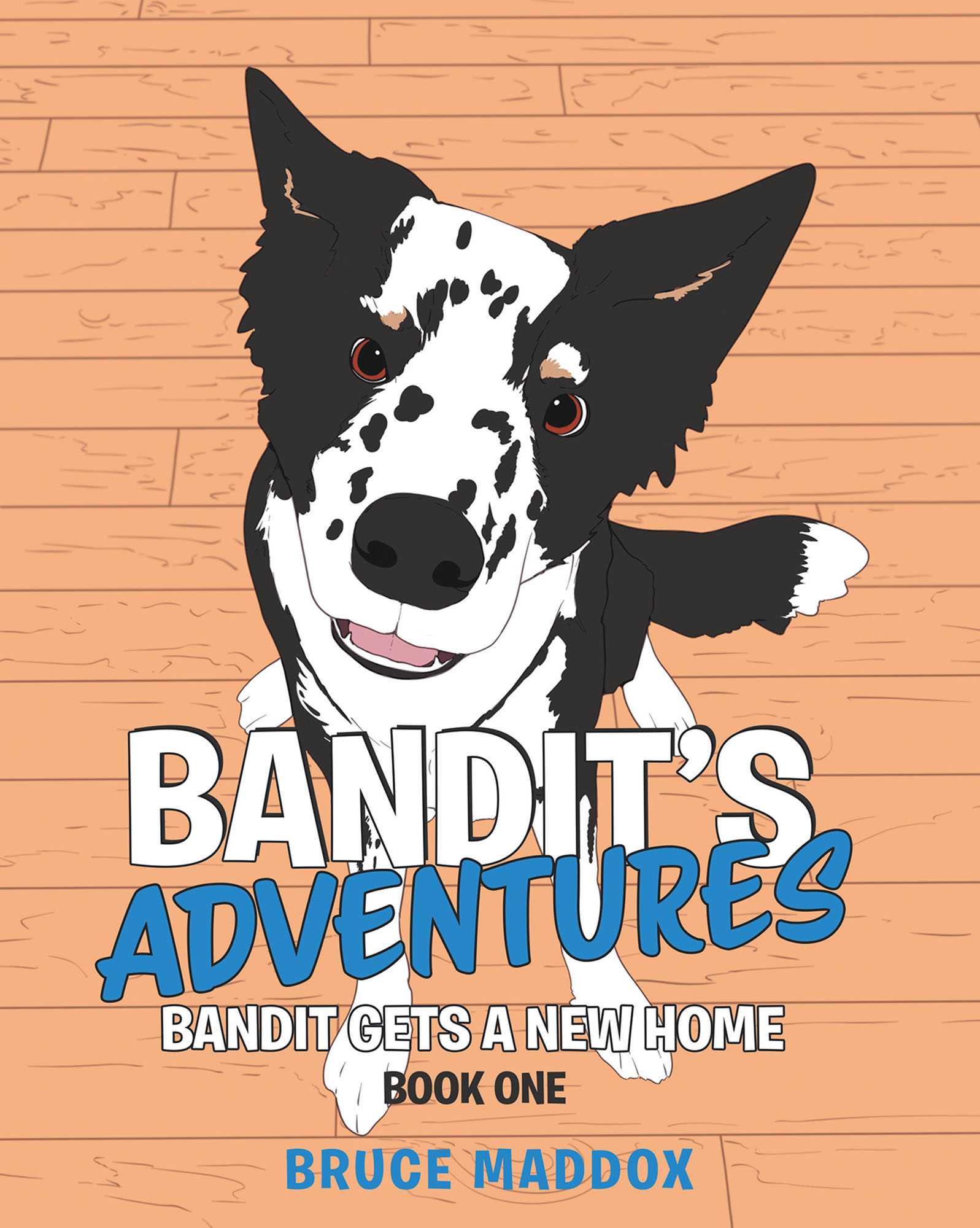 Bandit's Adventures Cover Image