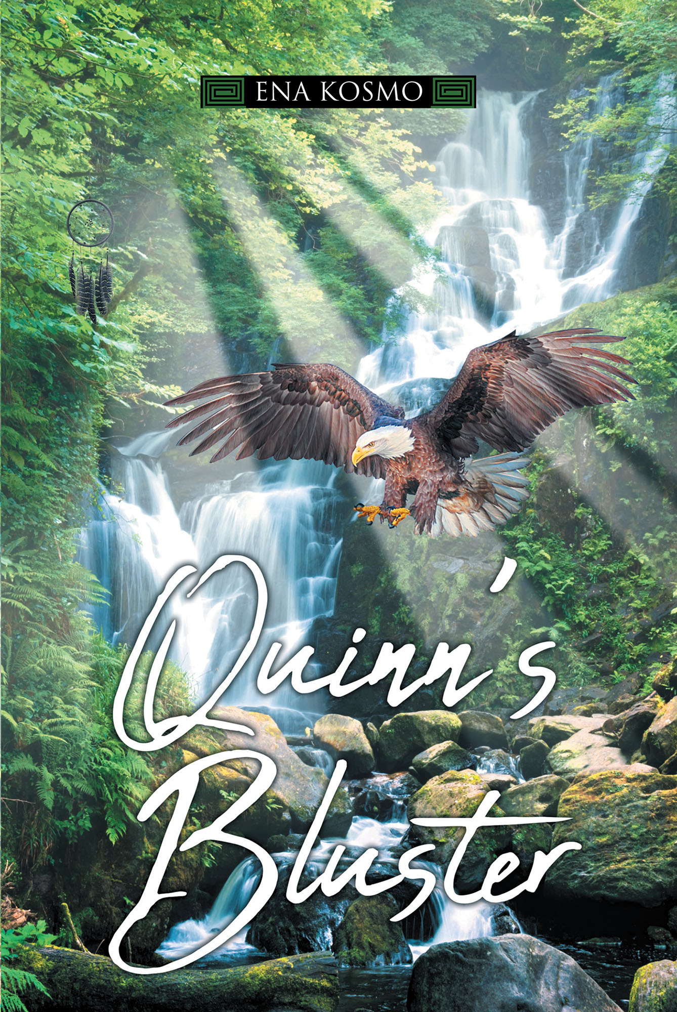 Quinn's Bluster Cover Image