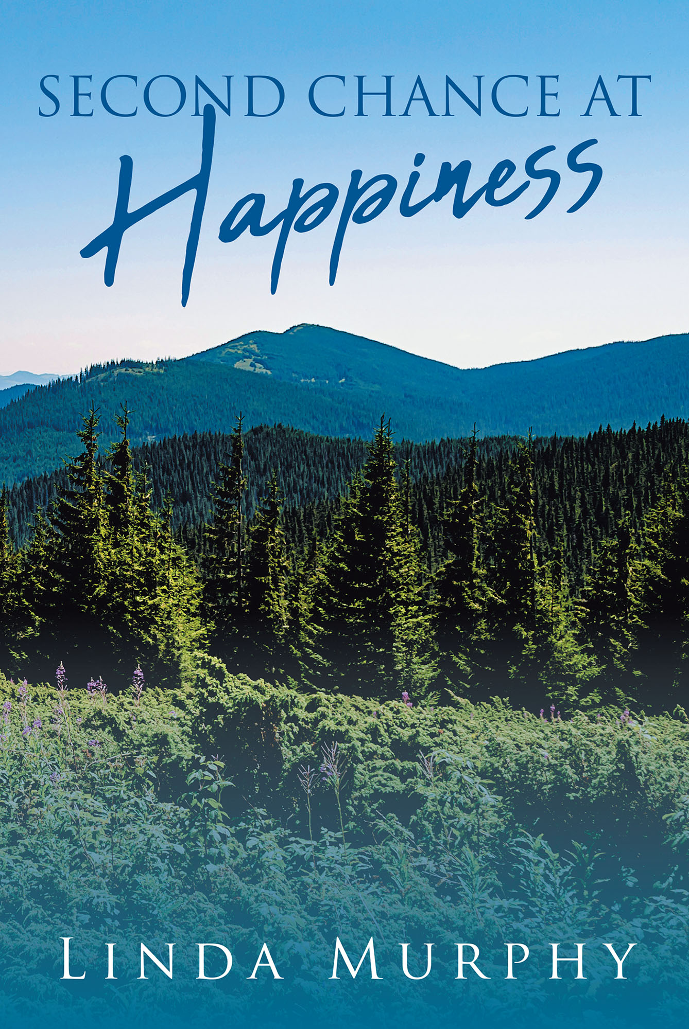 Second Chance At Happiness Cover Image