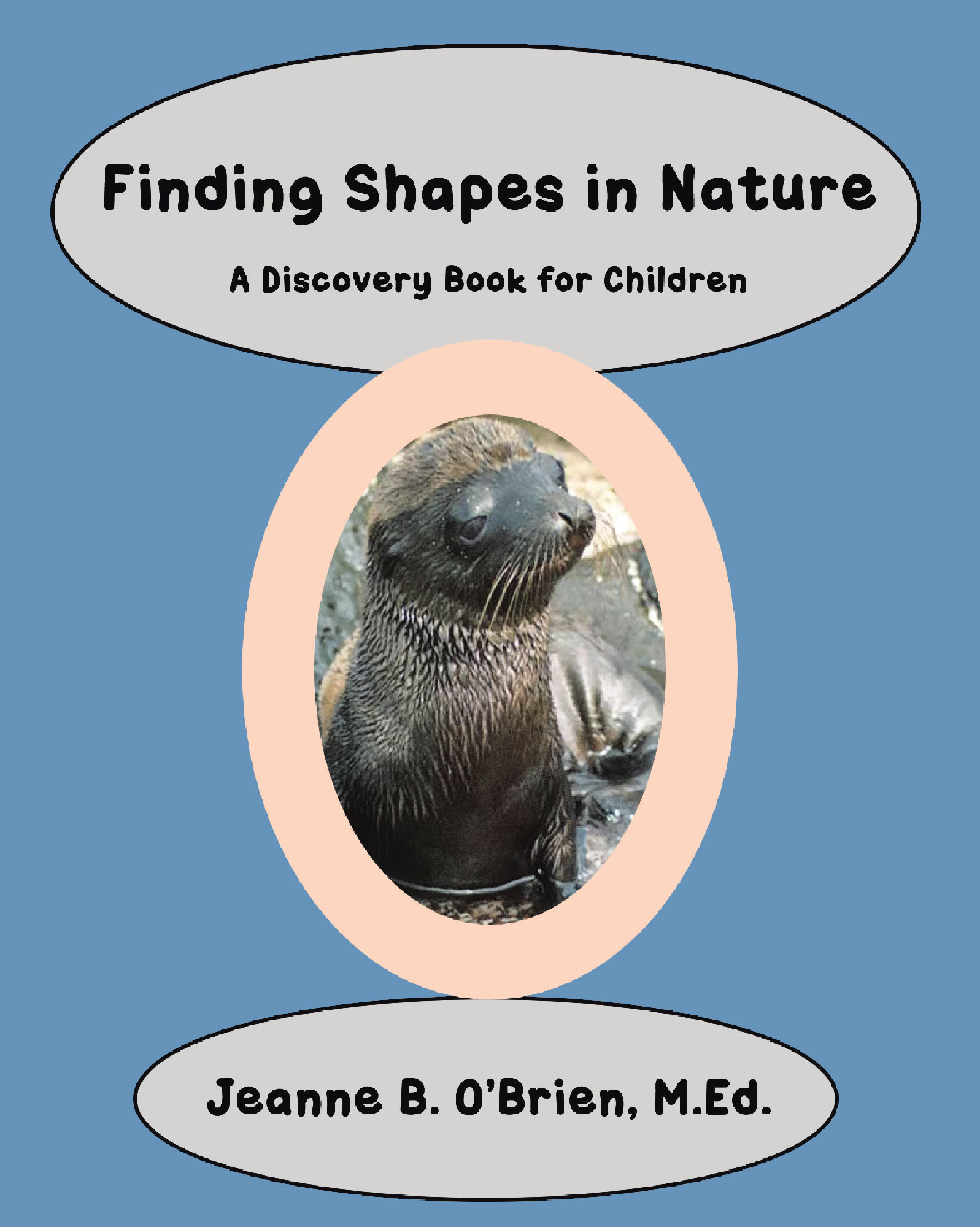  Finding Shapes in Nature Cover Image