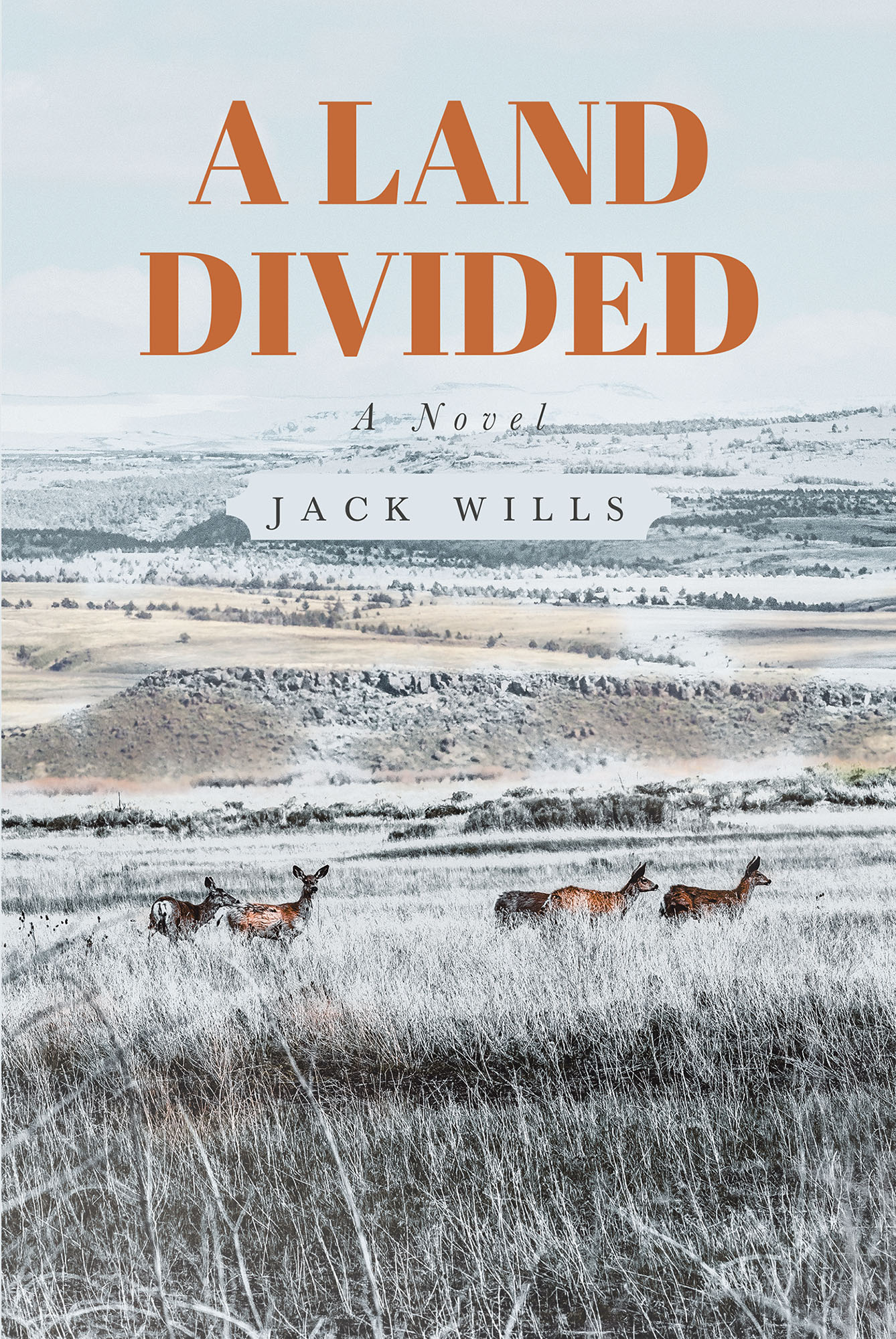 A Land Divided Cover Image