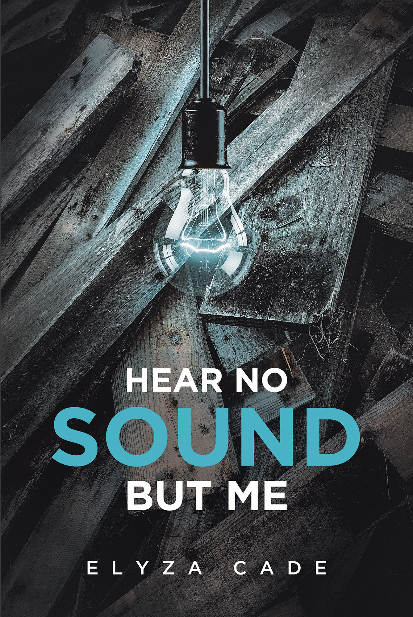 Hear no Sound but Me Cover Image