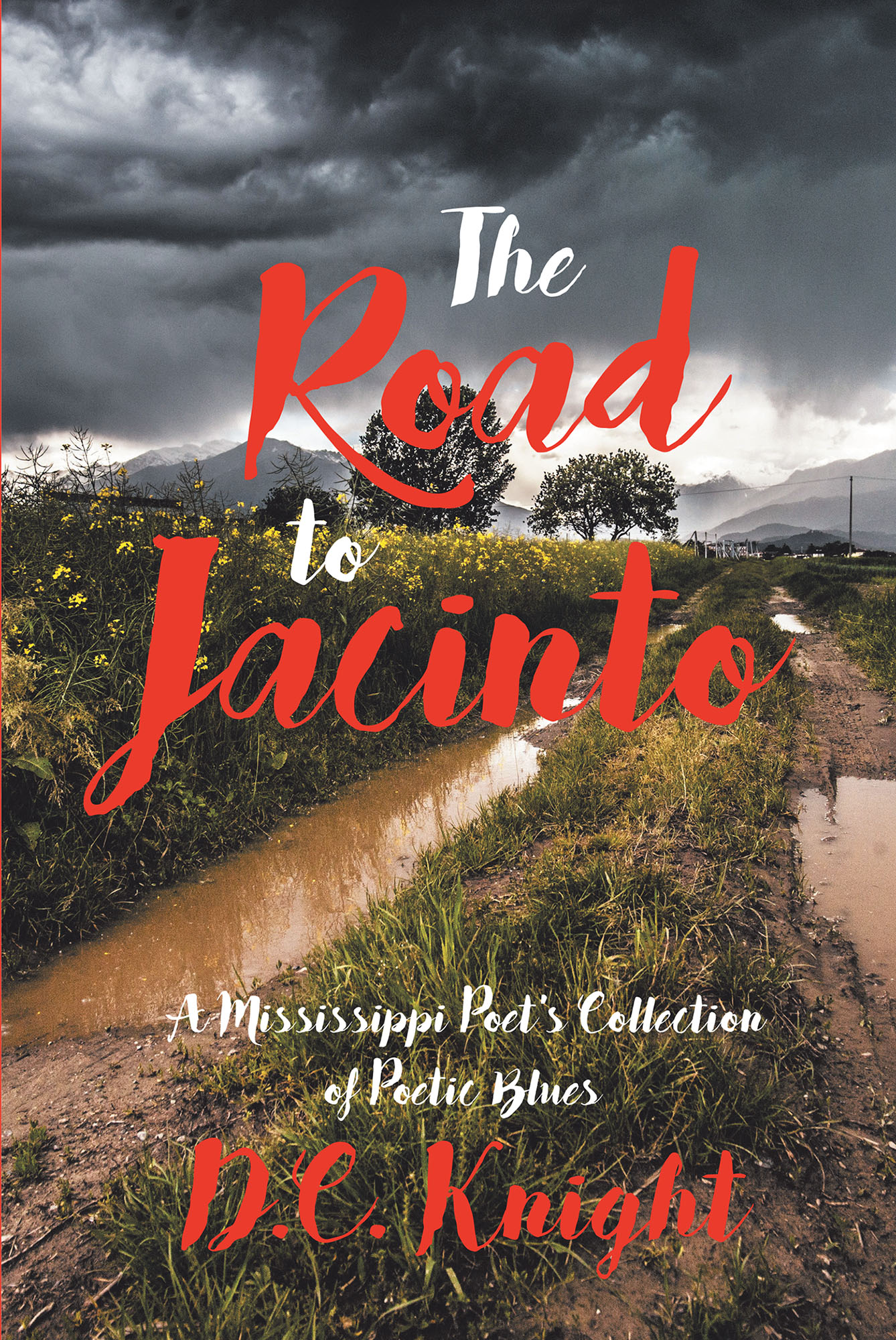 The Road to Jacinto Cover Image
