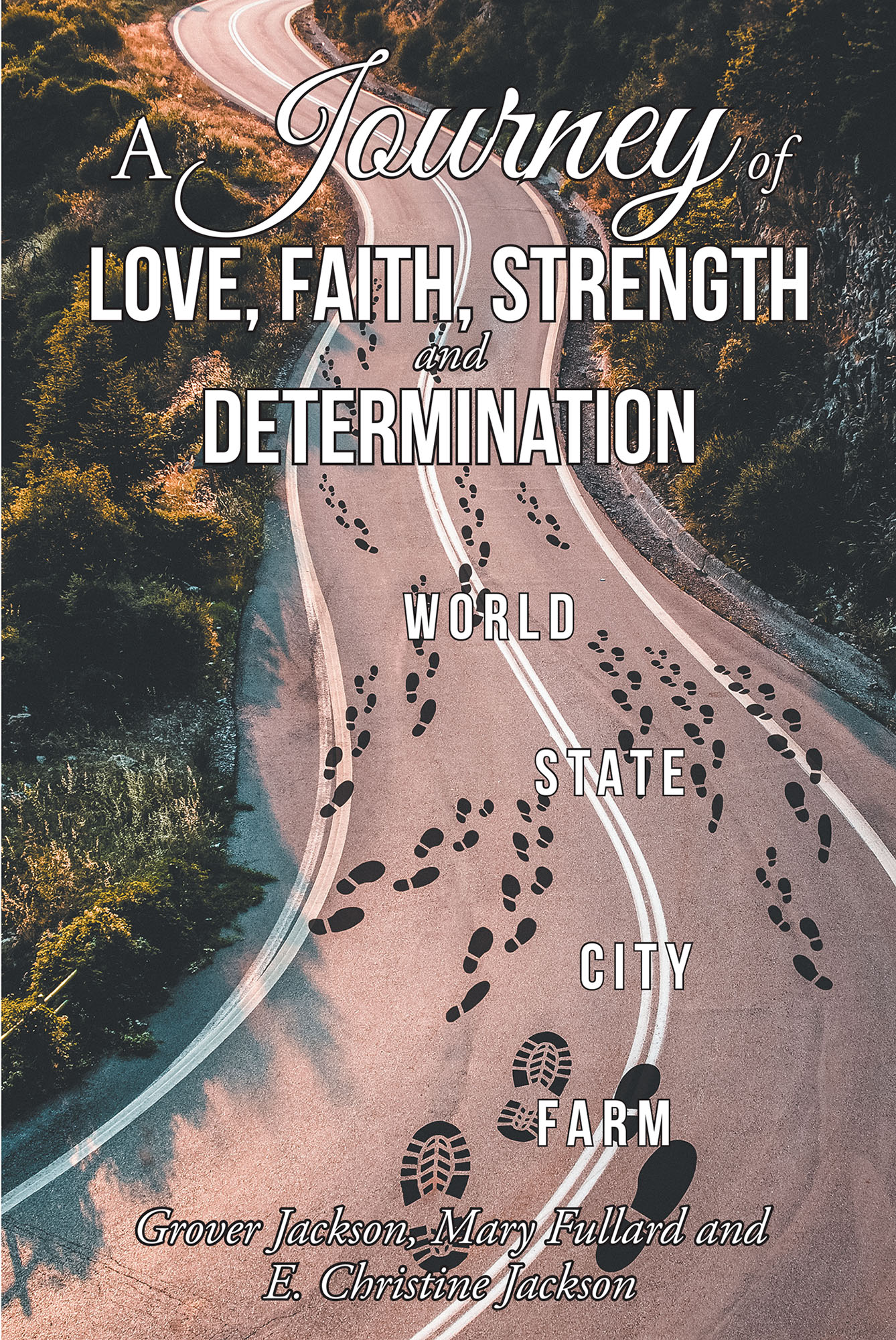 A Journey of Love, Faith, Strength and Determination  Cover Image