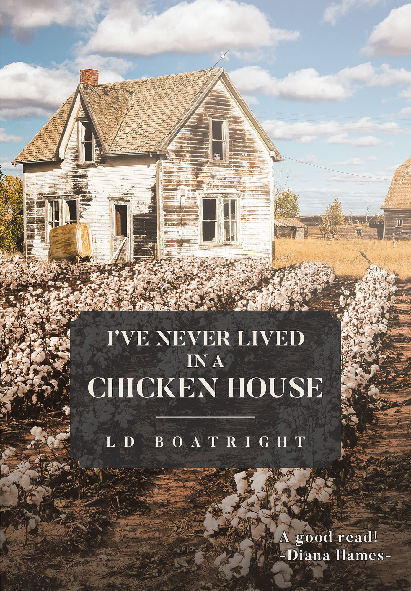 I've Never Lived in a Chicken House Cover Image