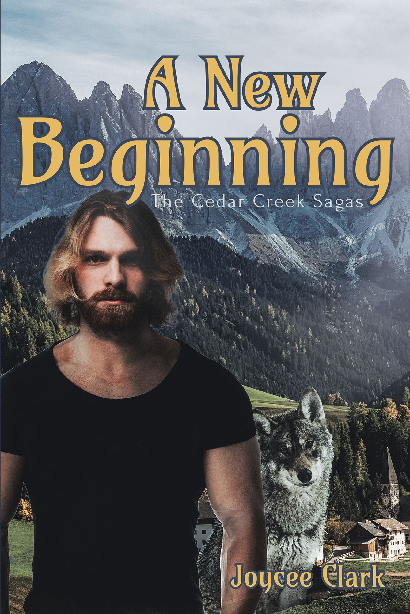 A New Beginning Cover Image