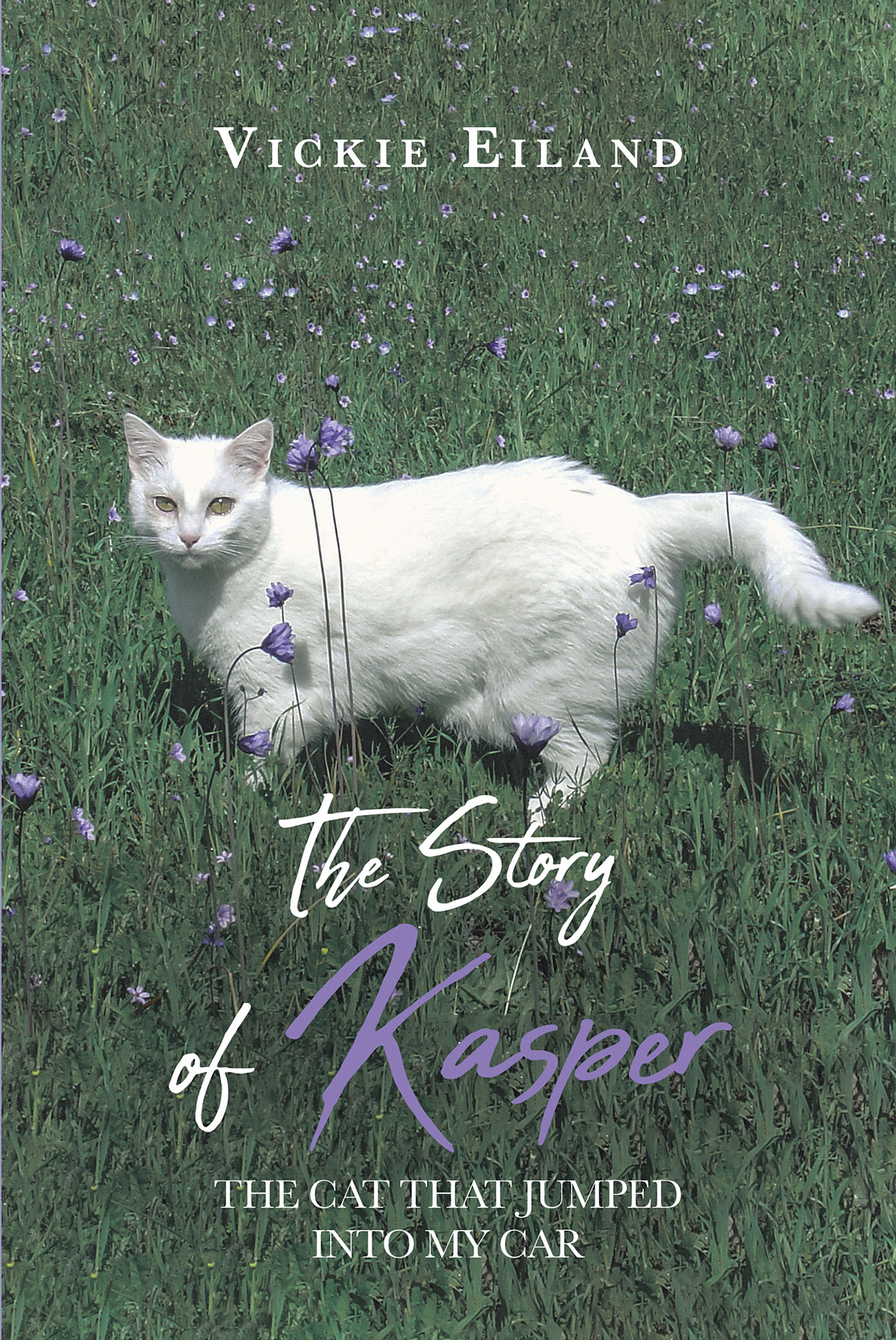 The Story of Kasper Cover Image