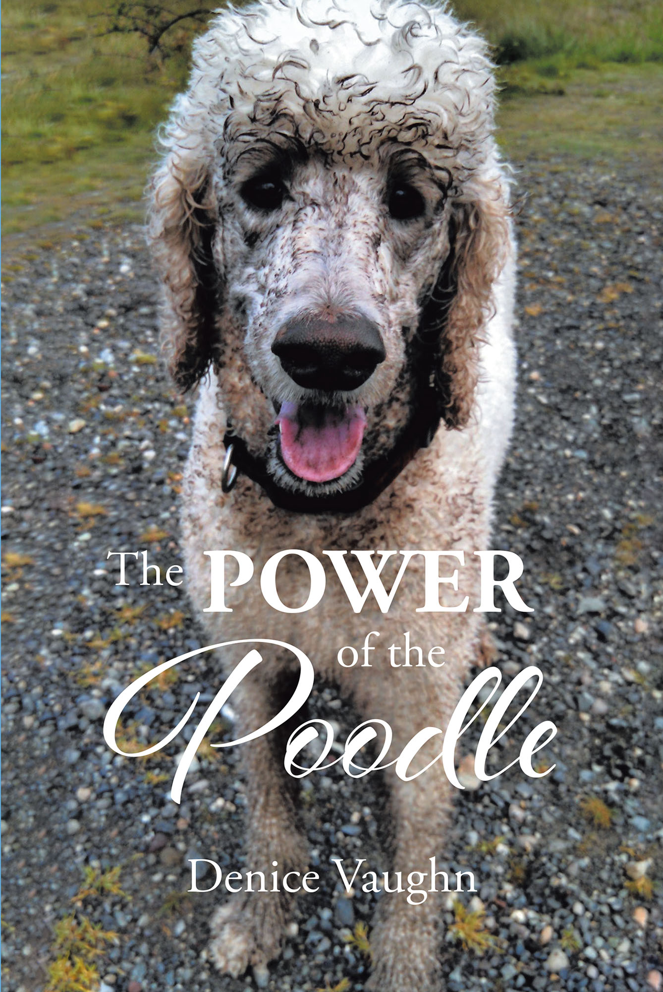 The Power of the Poodle Cover Image