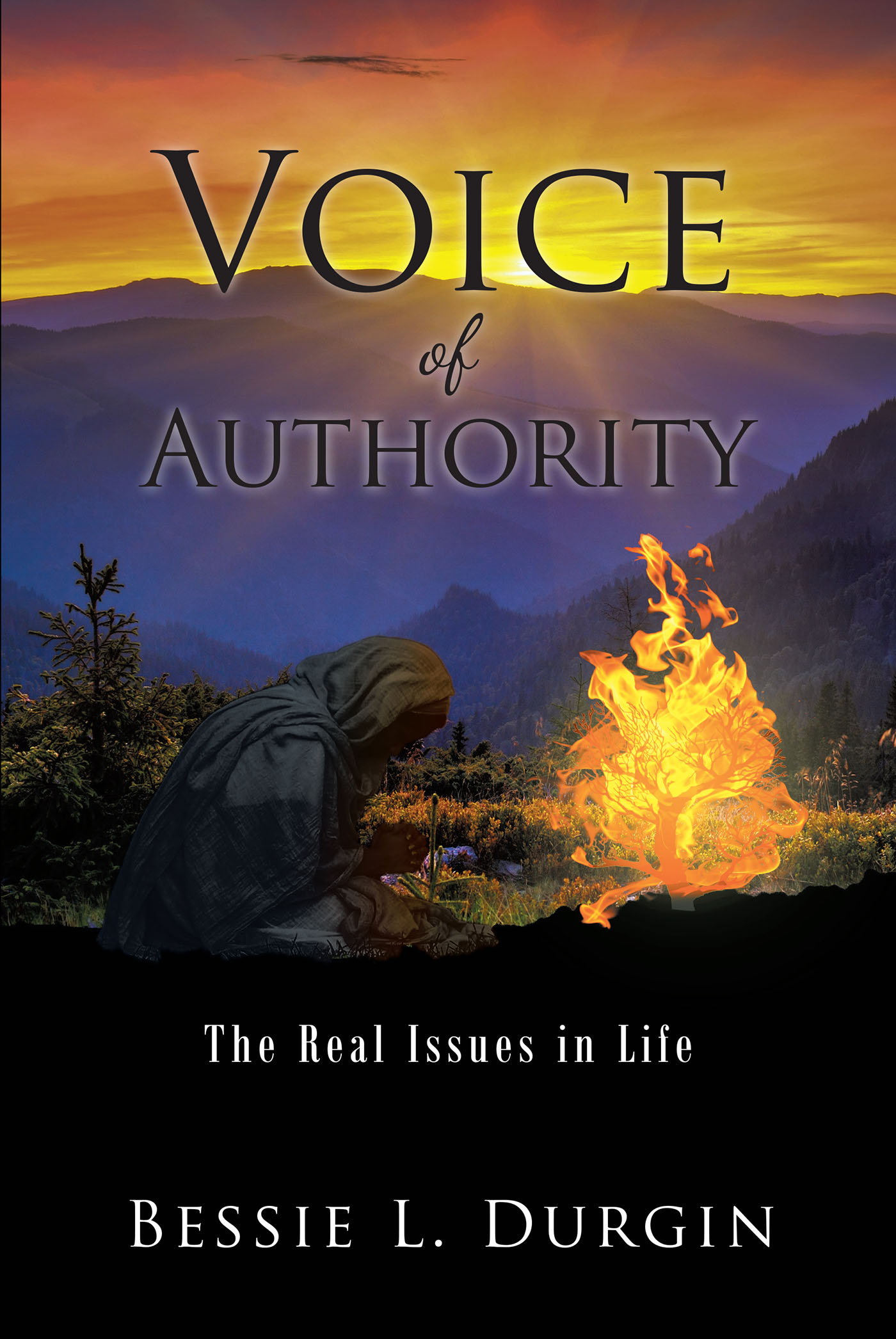 Voice of Authority Cover Image