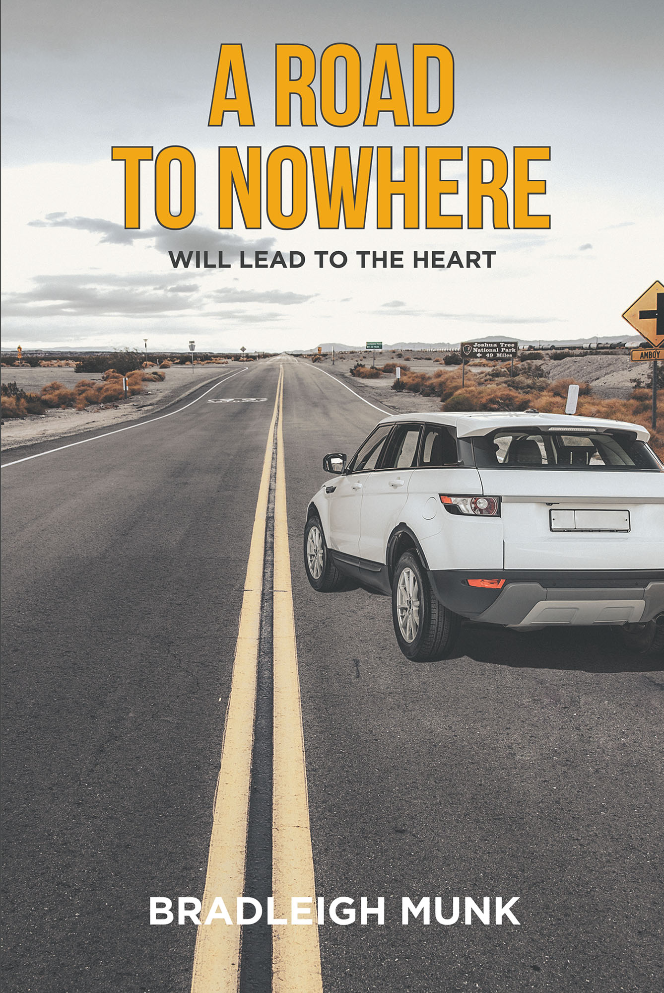A Road to Nowhere Cover Image