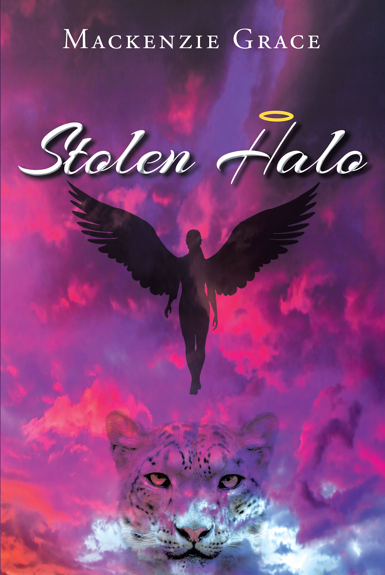 Stolen Halo Cover Image