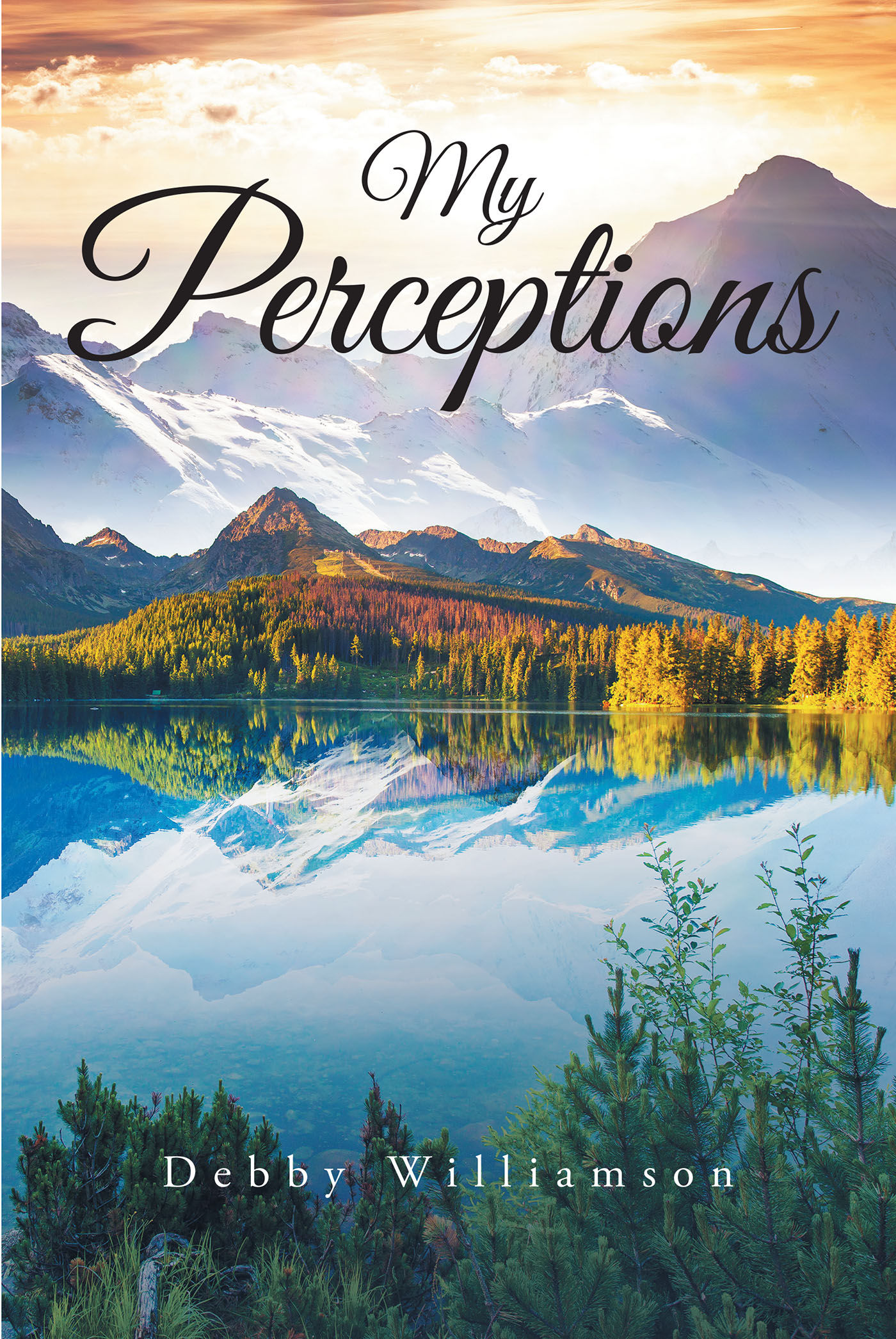 My Perceptions Cover Image