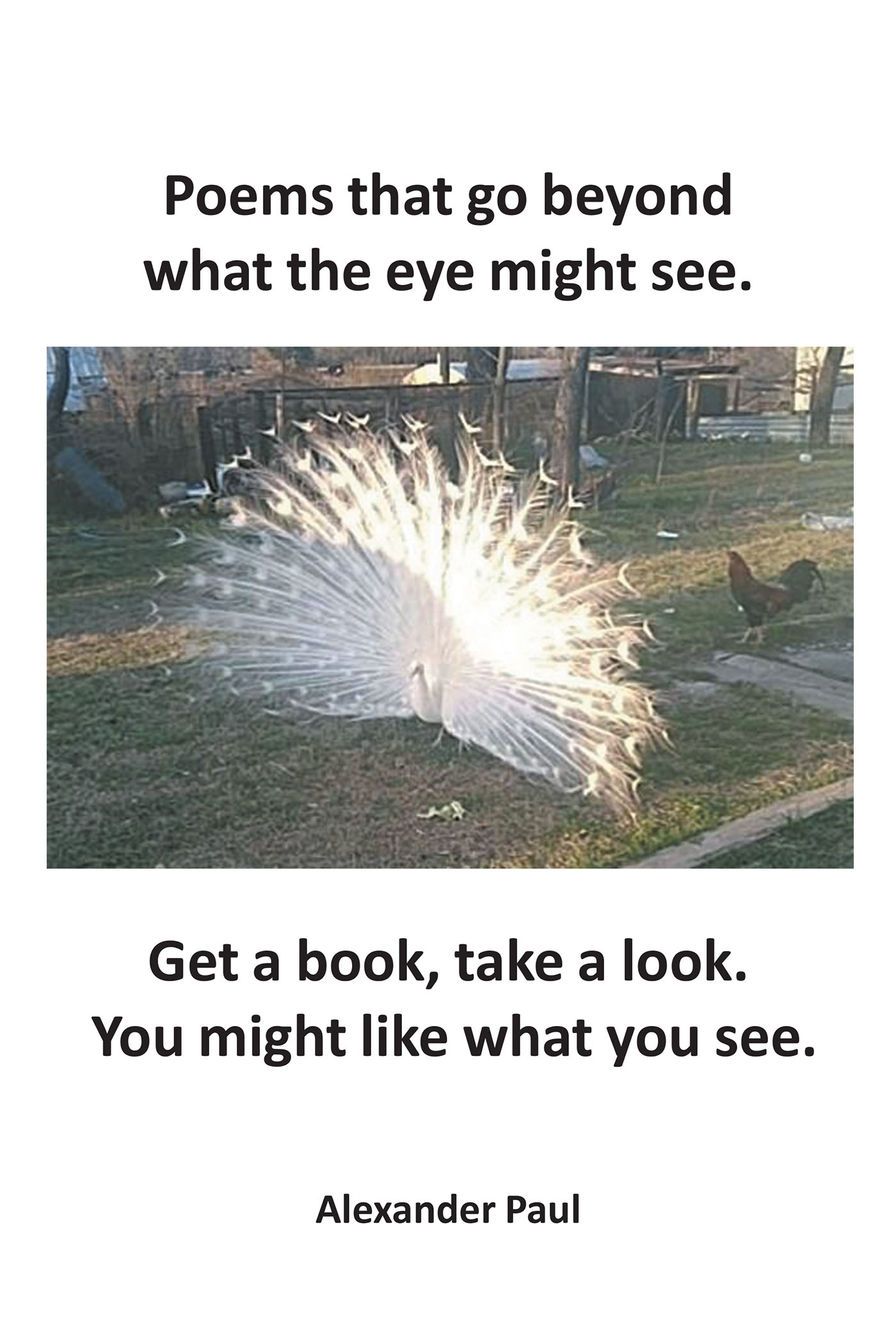 Poems that go beyond what the eye might see. Cover Image