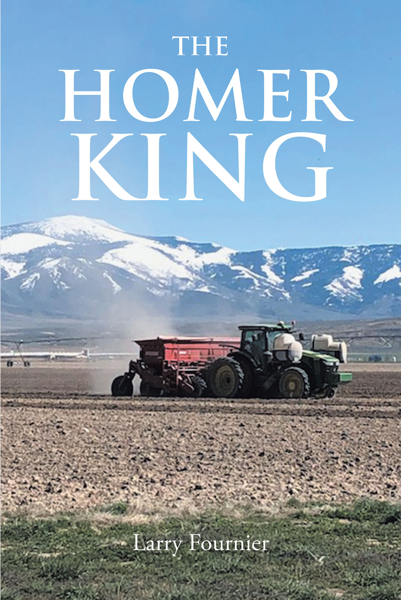 The Homer King Cover Image