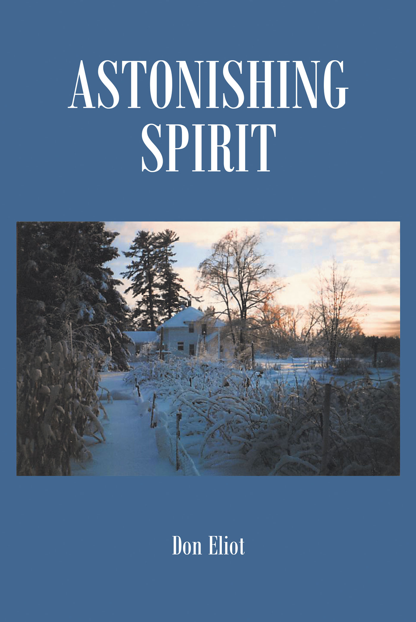 Astonishing Spirit Cover Image