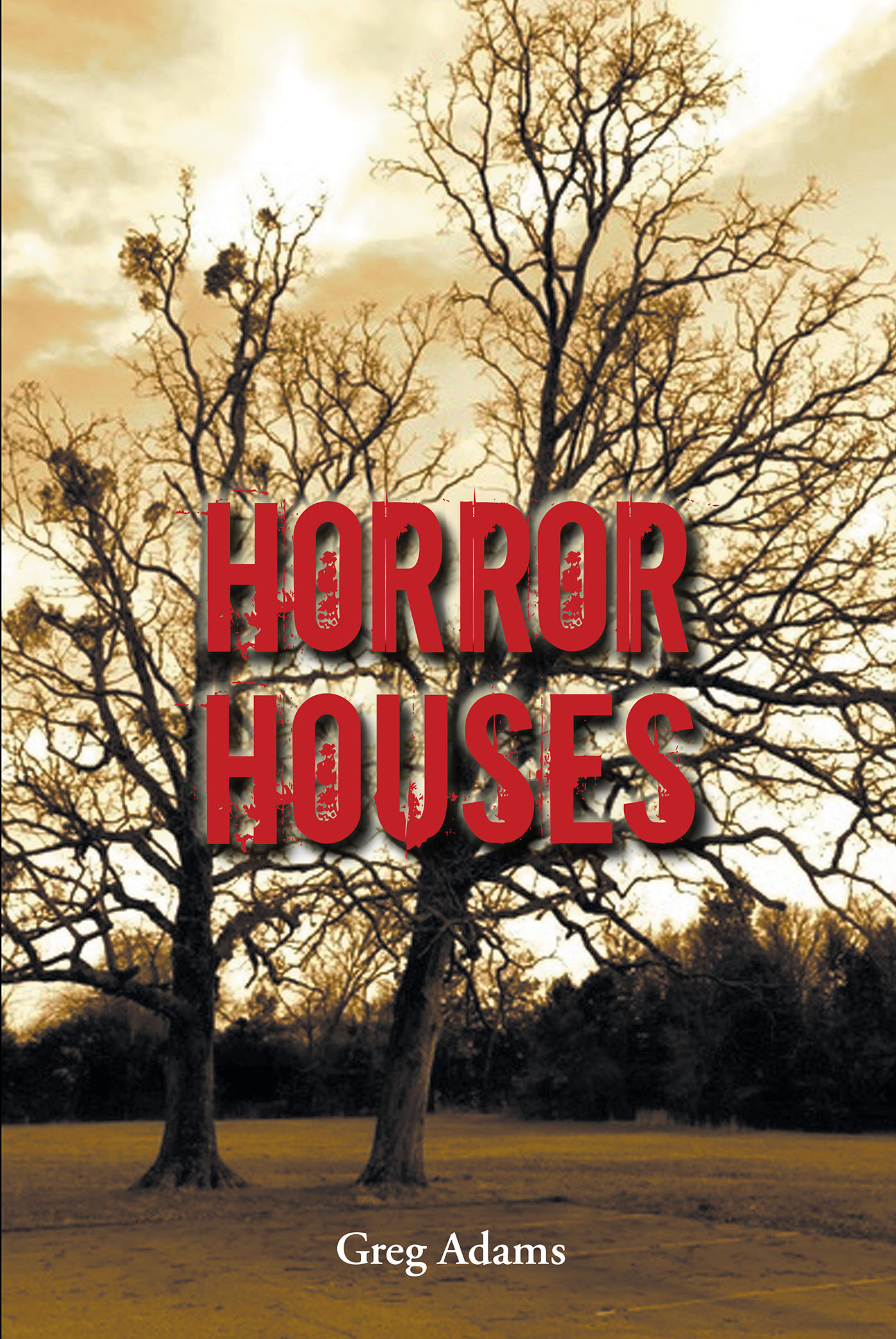 Horror Houses Cover Image