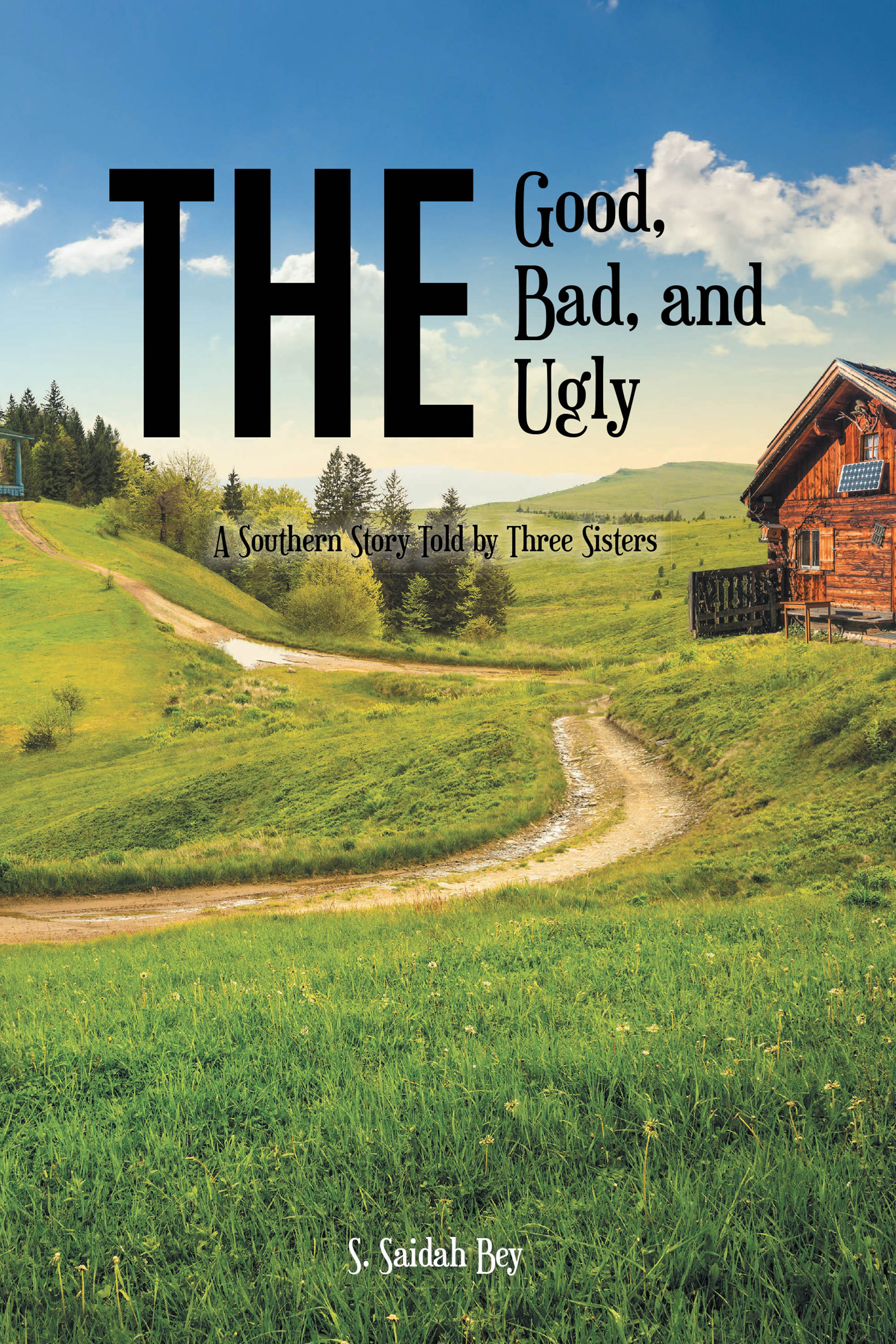 The Good, the Bad, and the Ugly Cover Image