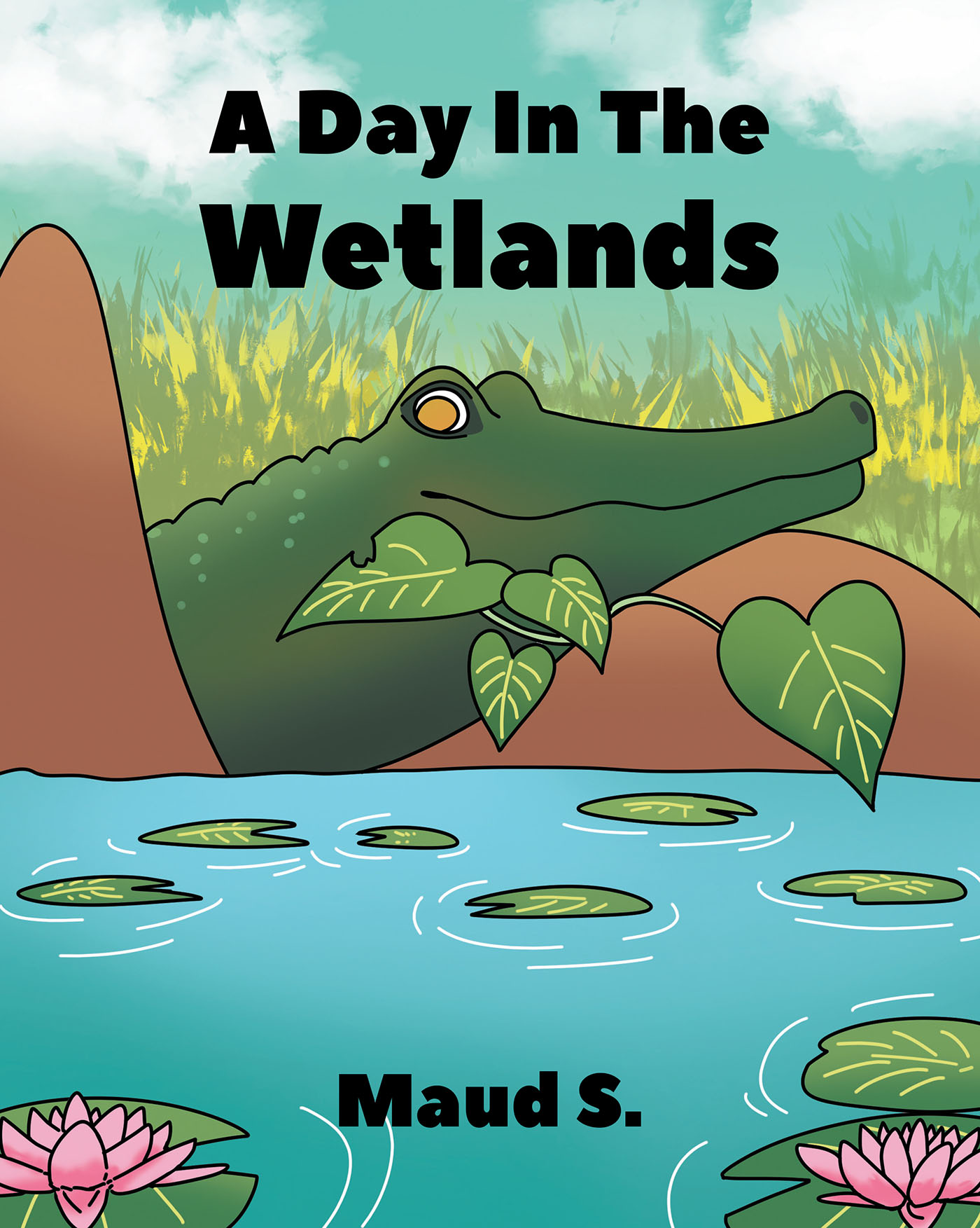 A Day In The Wetlands Cover Image