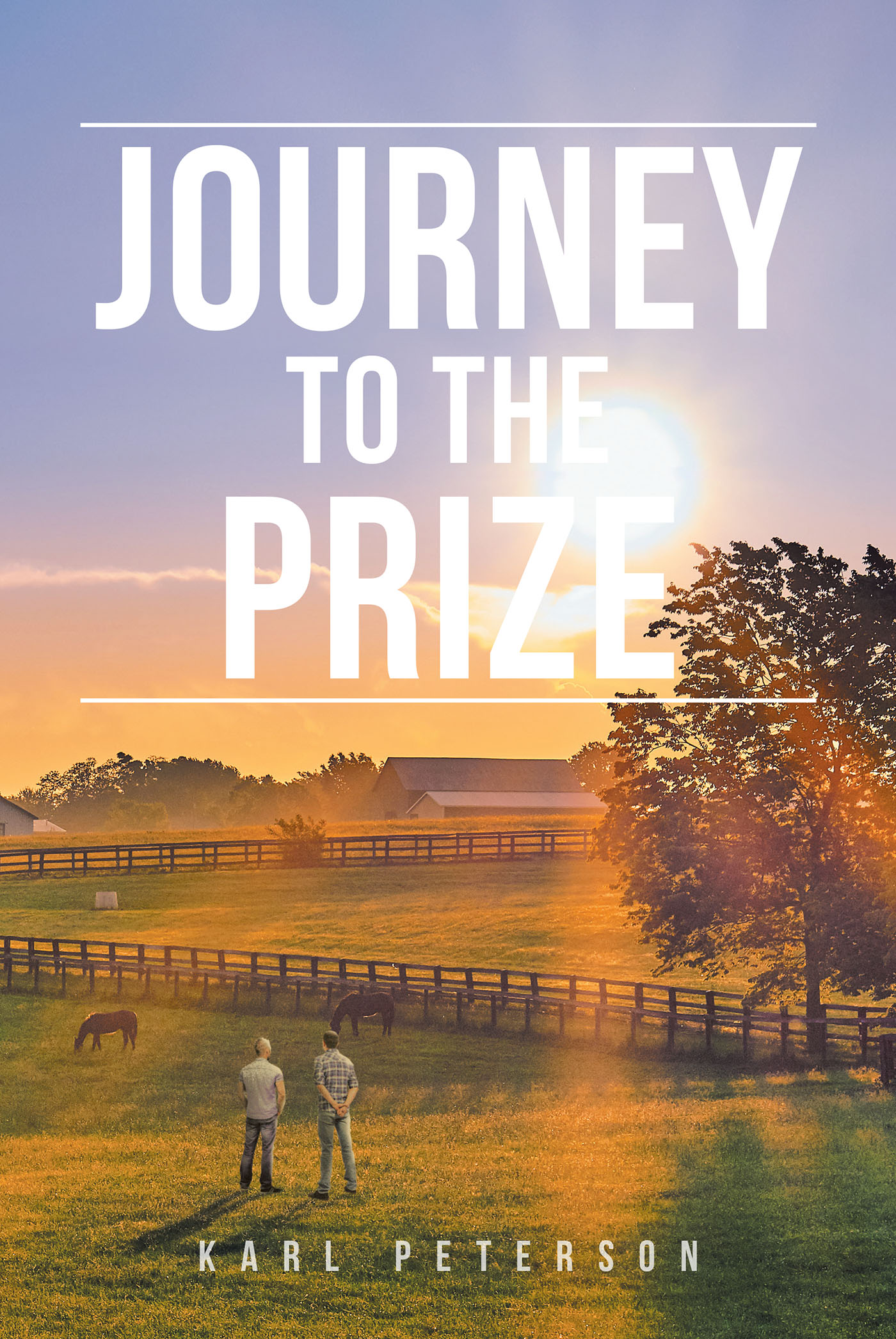 Journey to the Prize Cover Image