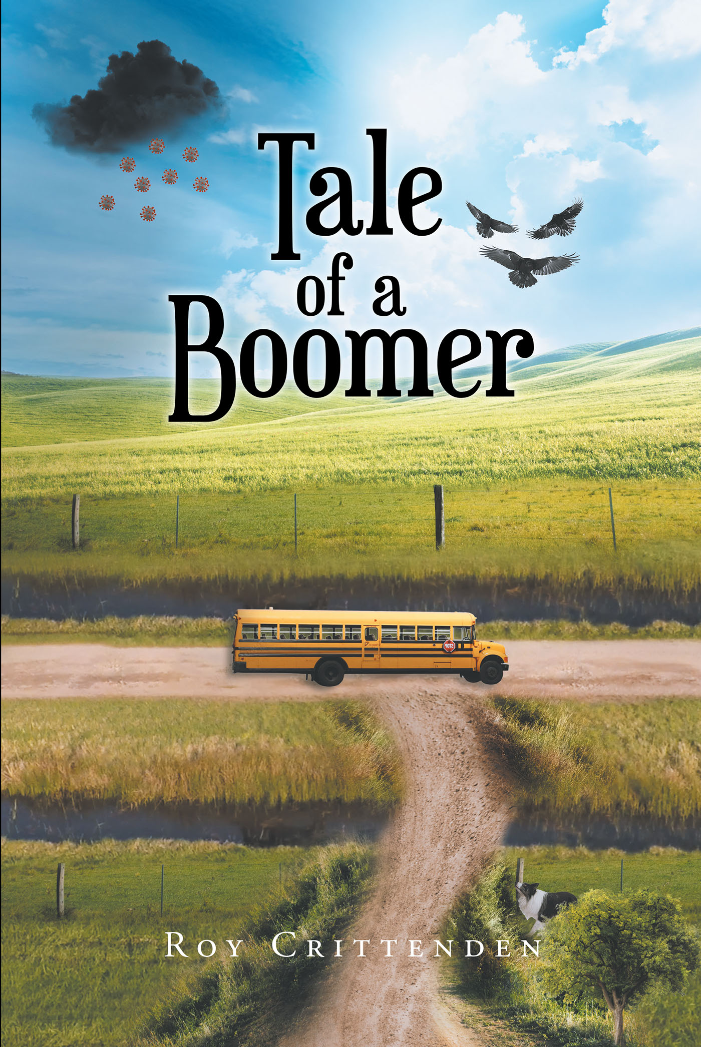 TALE OF A BOOMER Cover Image