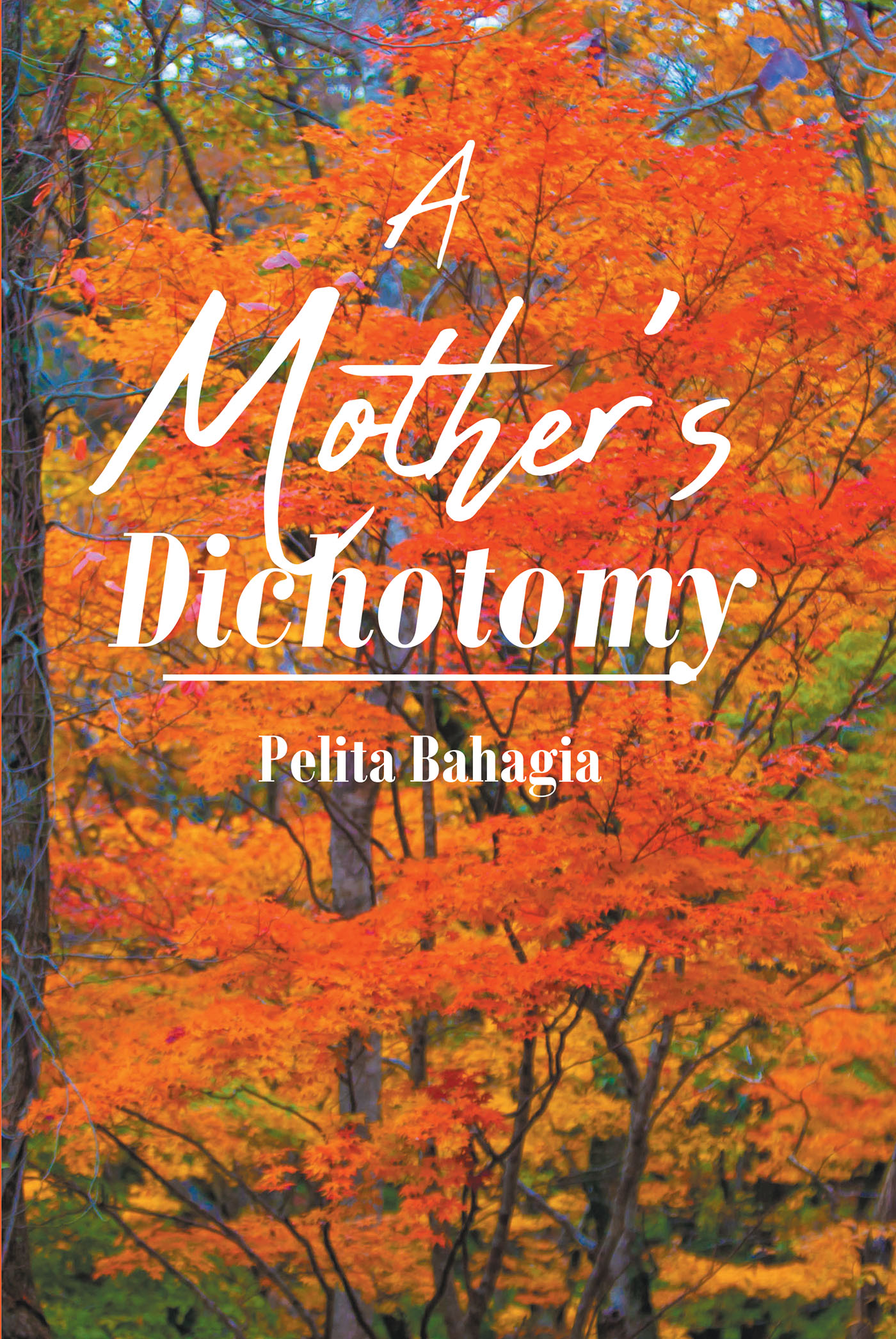 A Mother's Dichotomy Cover Image