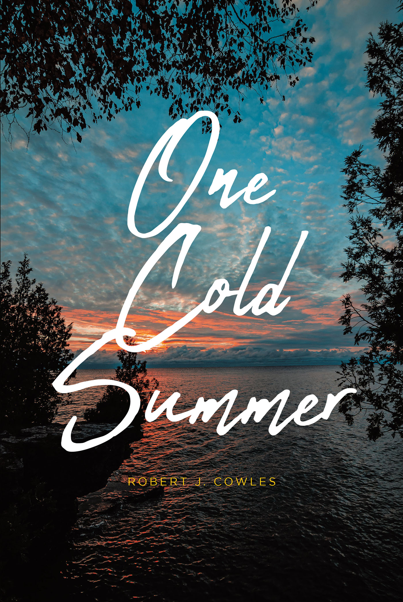 One Cold Summer Cover Image