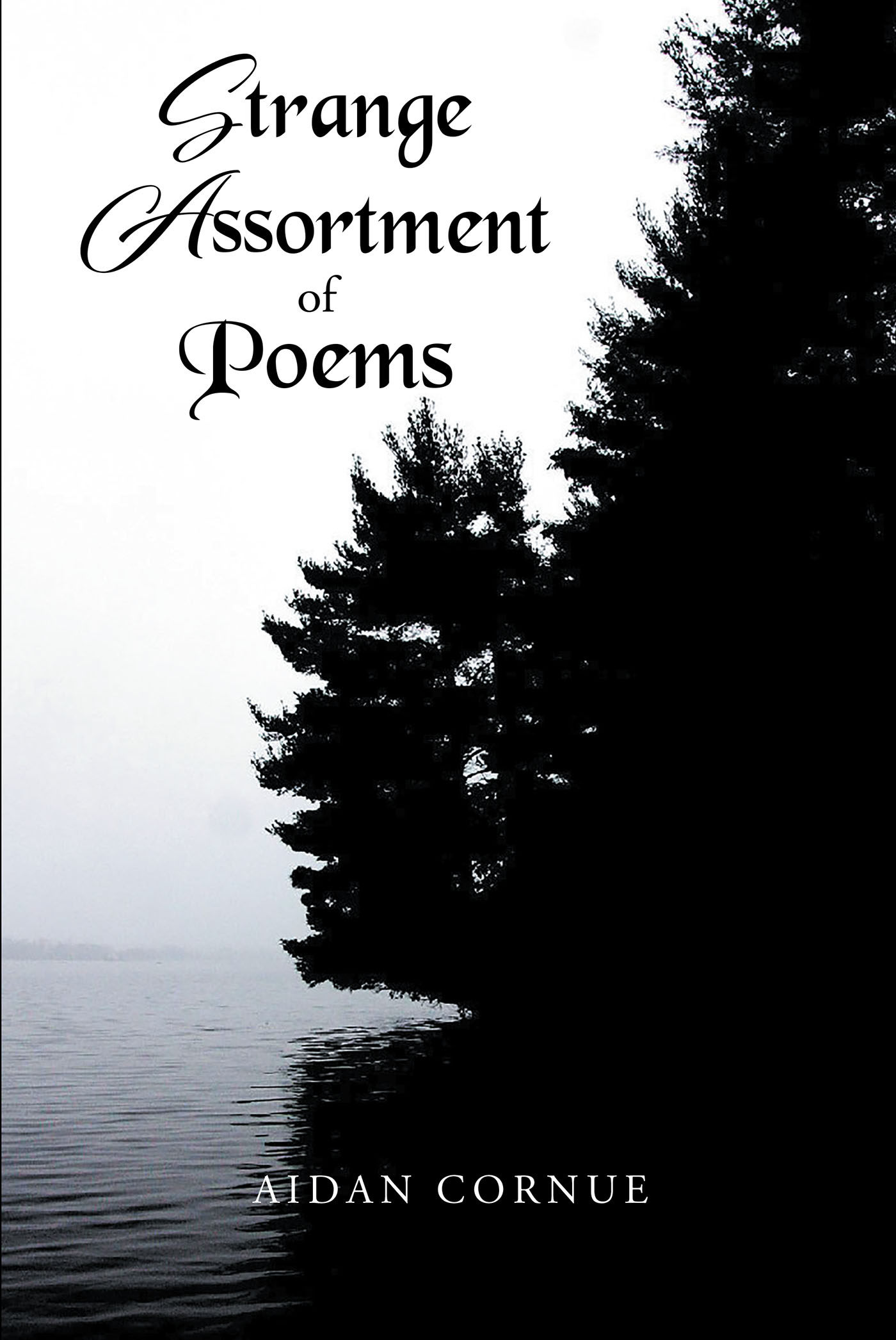 Strange Assortment of Poems Cover Image