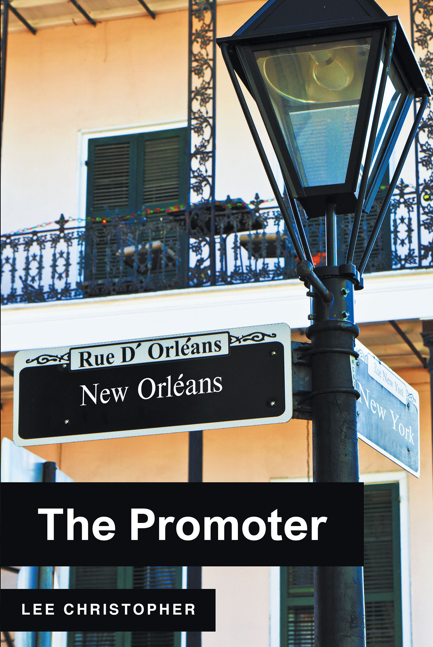 The Promoter Cover Image