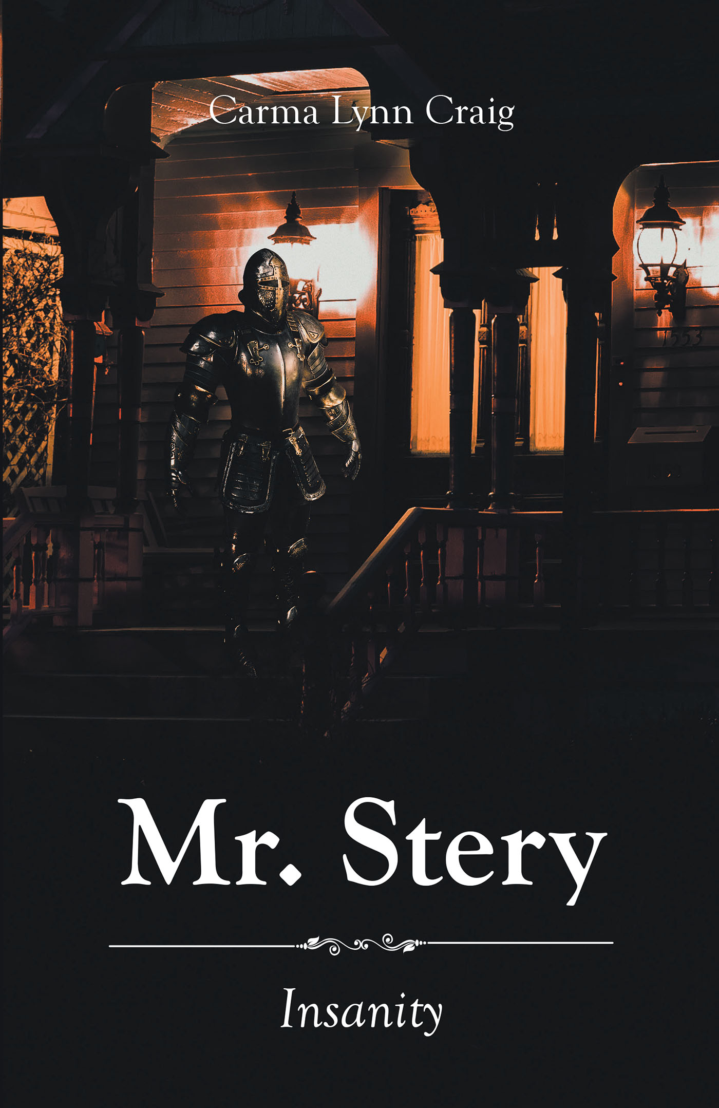Mr. Stery Cover Image