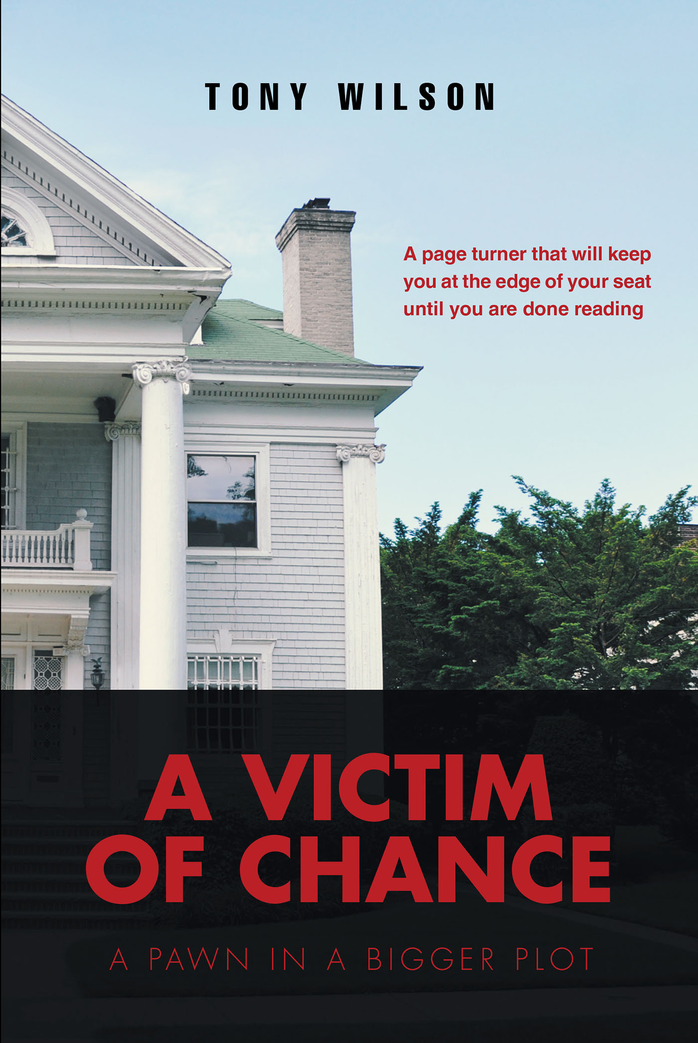 A Victim Of Chance  Cover Image