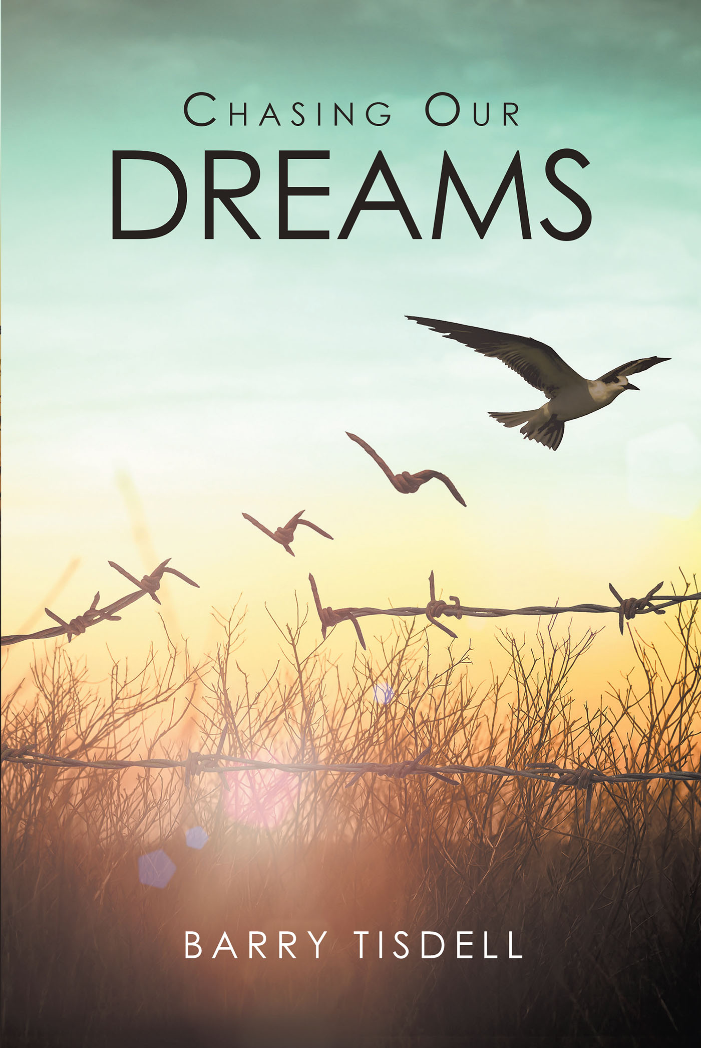 Chasing Our Dreams Cover Image