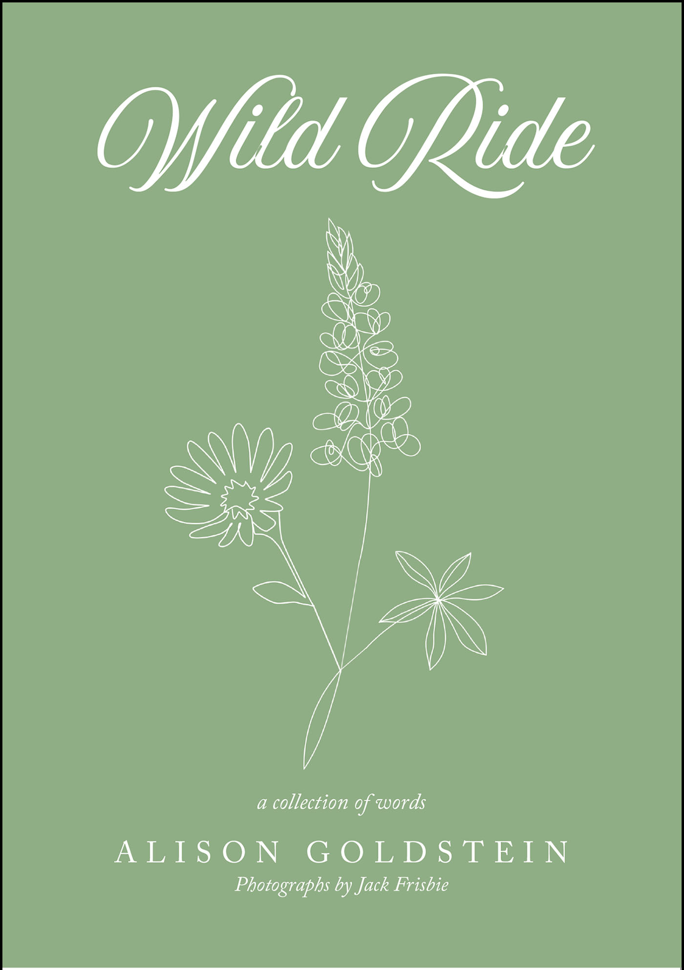 Wild Ride Cover Image