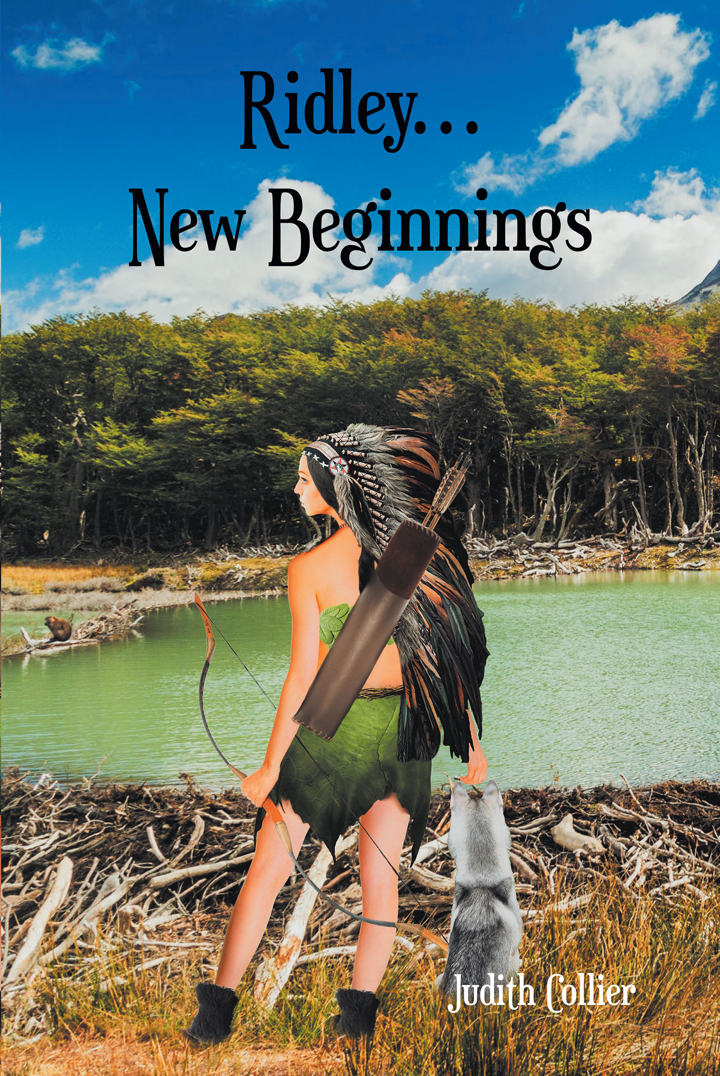  Ridley... New Beginnings Cover Image