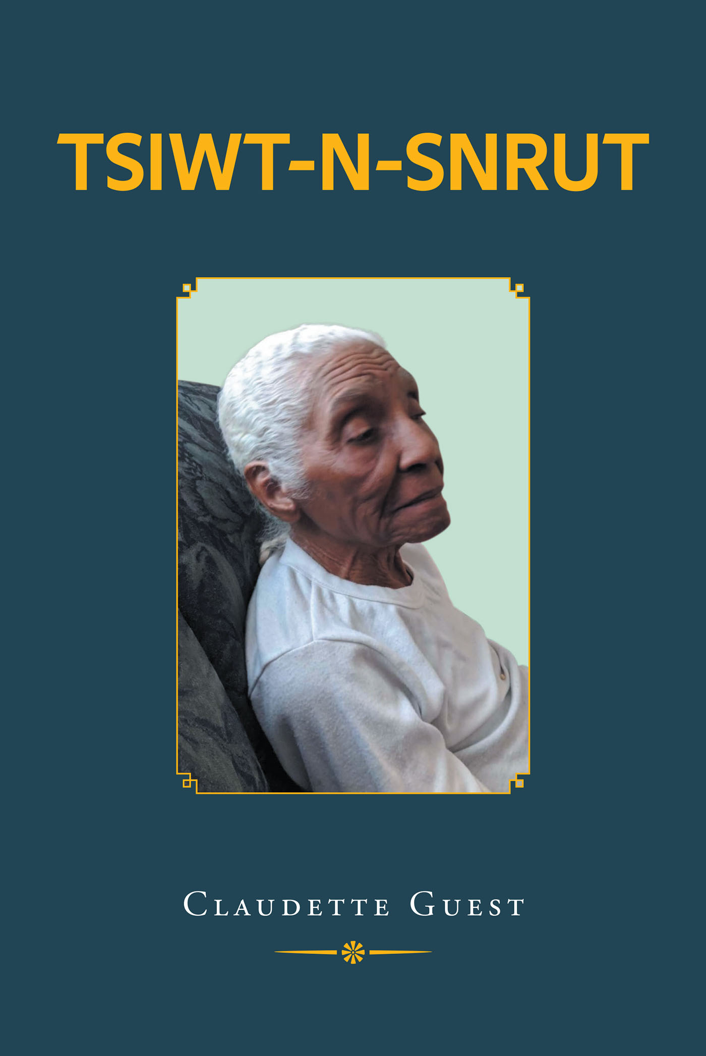TSIWT -N- SNRUT Cover Image