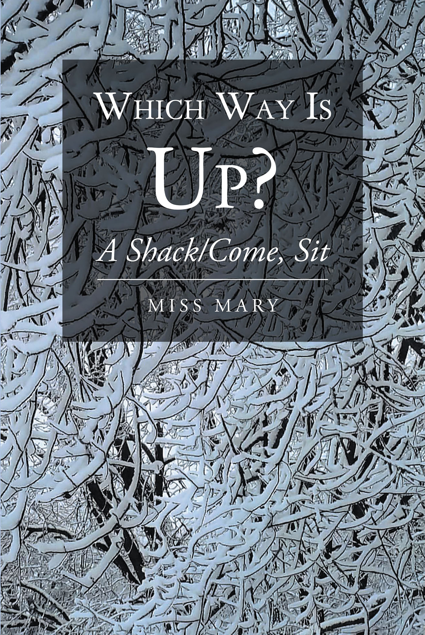Which Way Is Up? Cover Image
