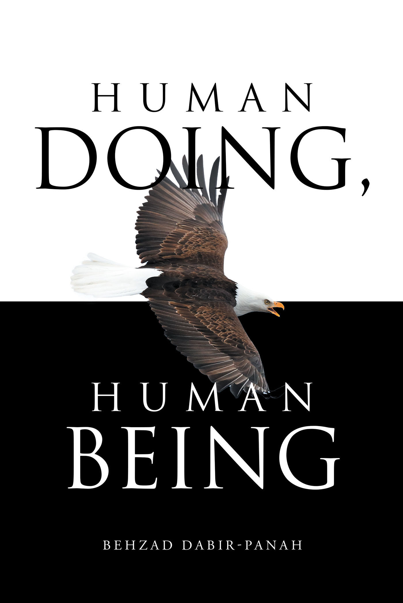 Human Doing, Human Being Cover Image