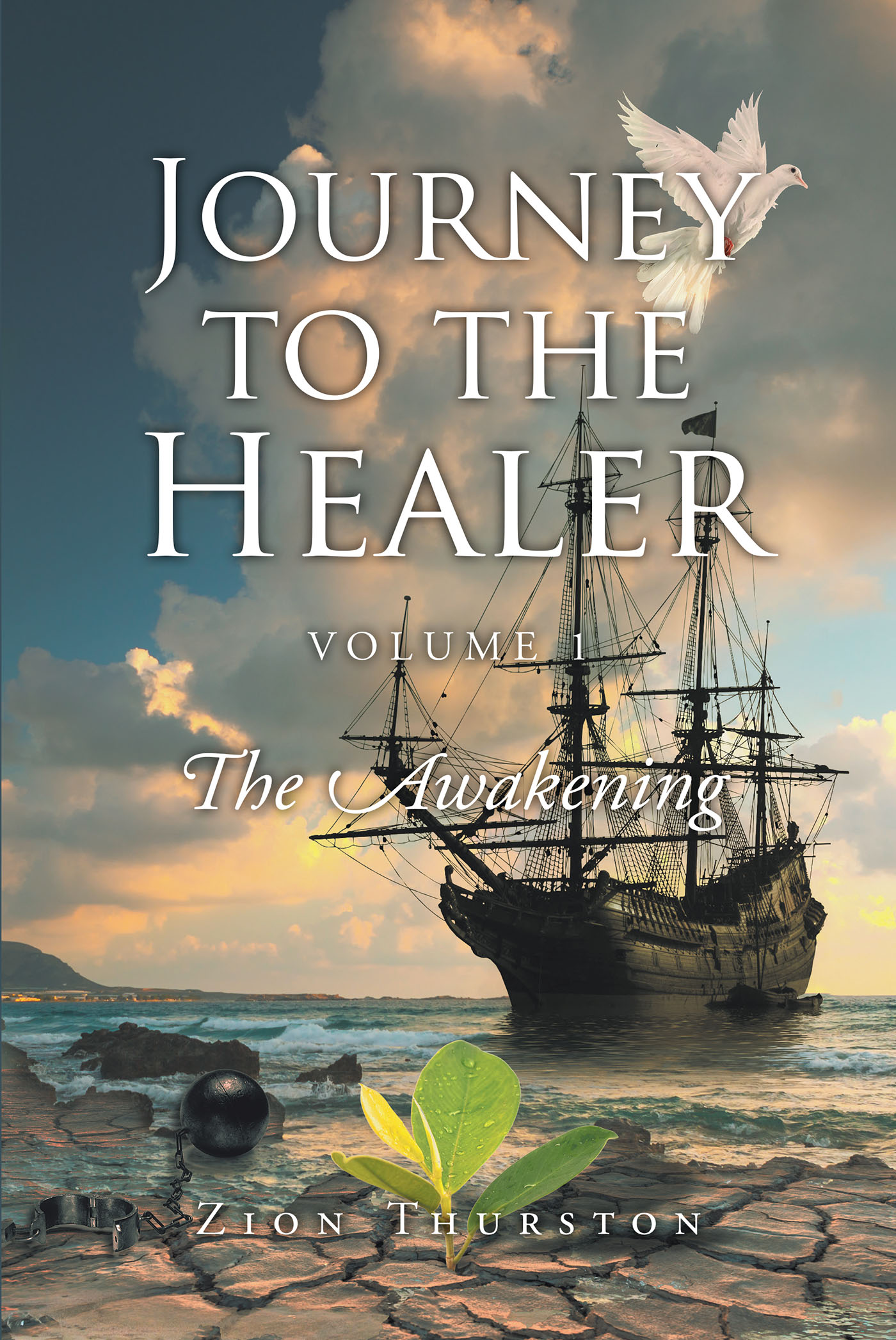Journey to the Healer Cover Image