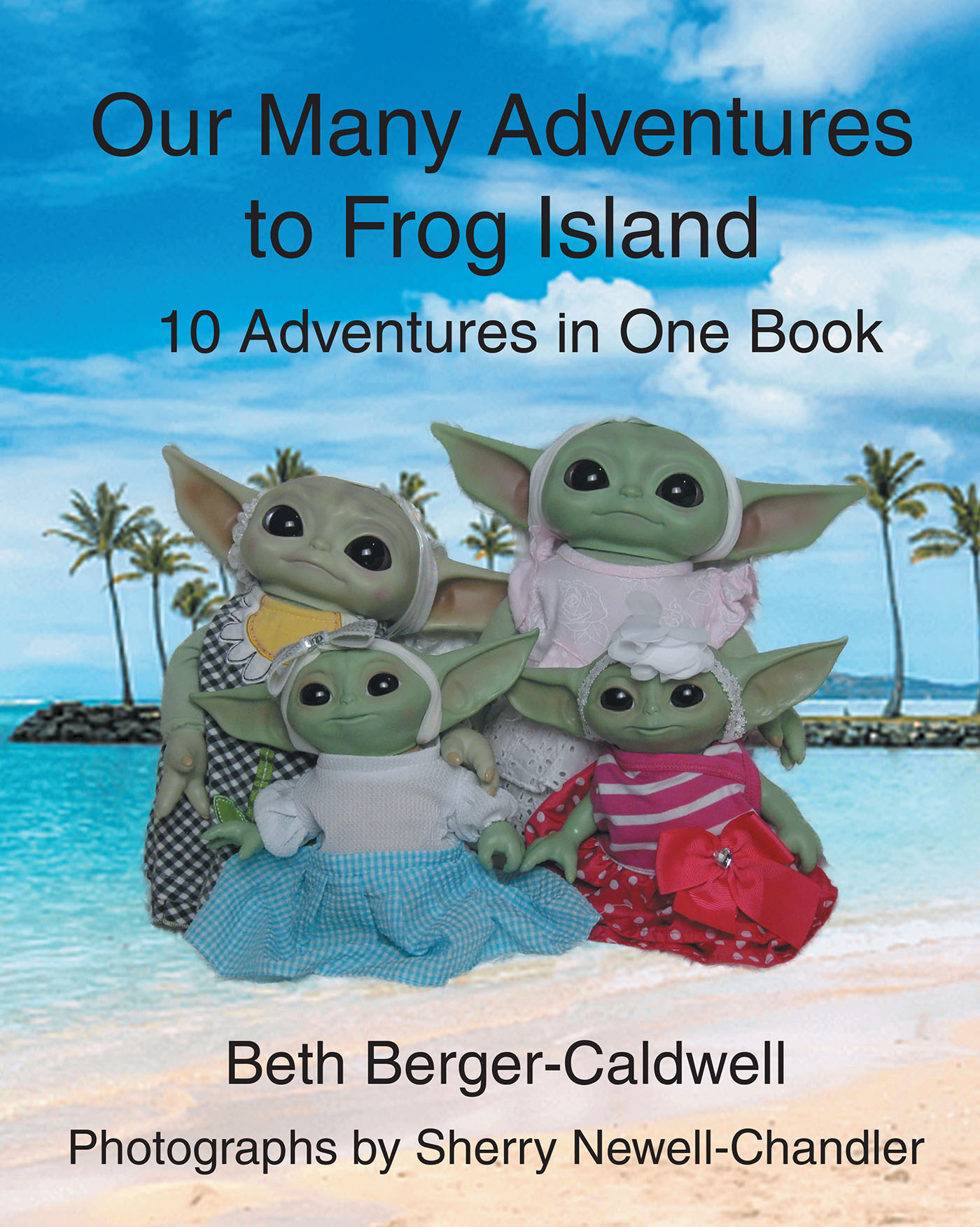 Our Many Adventures to Frog Island Cover Image